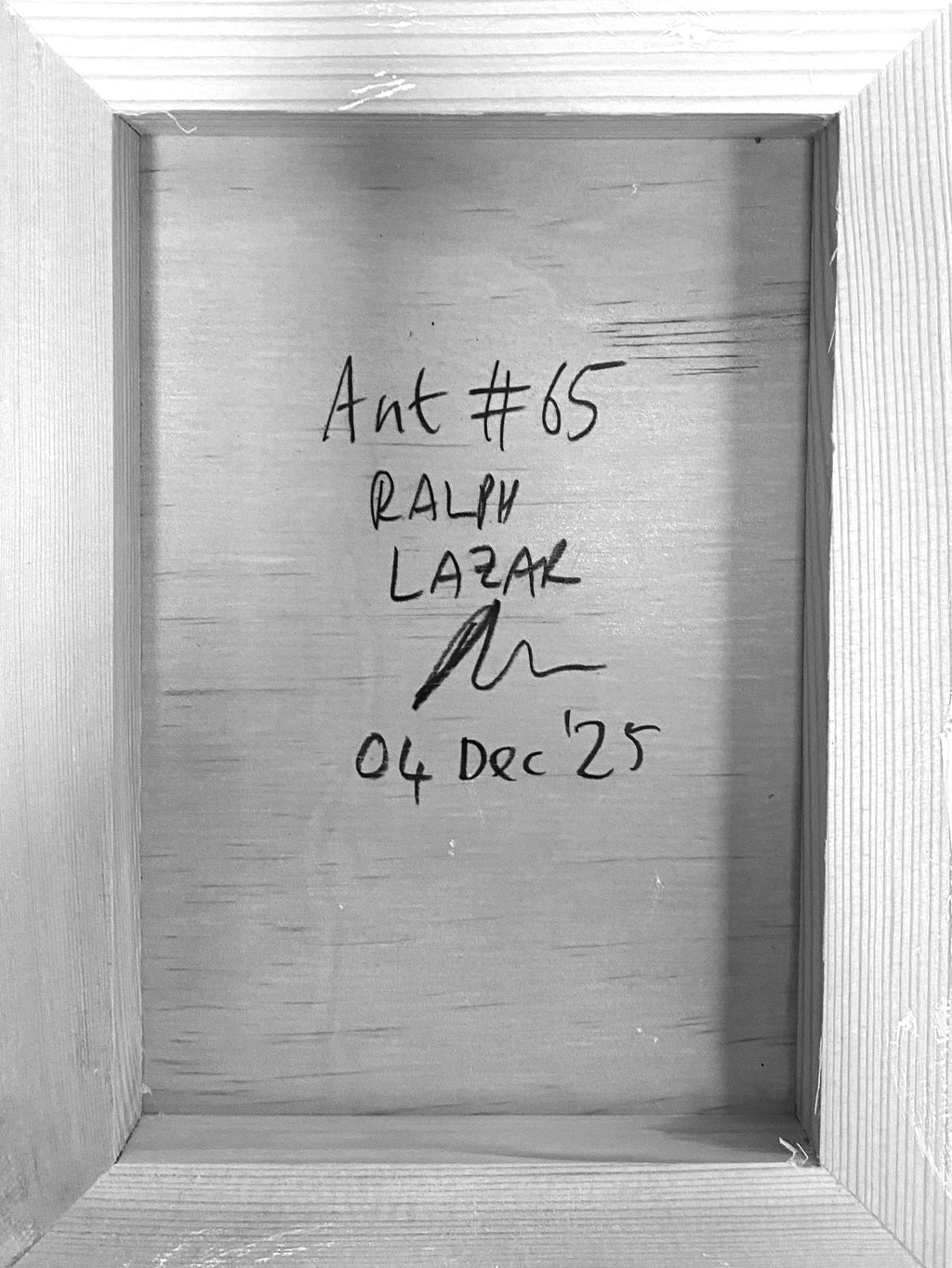 Ant #65