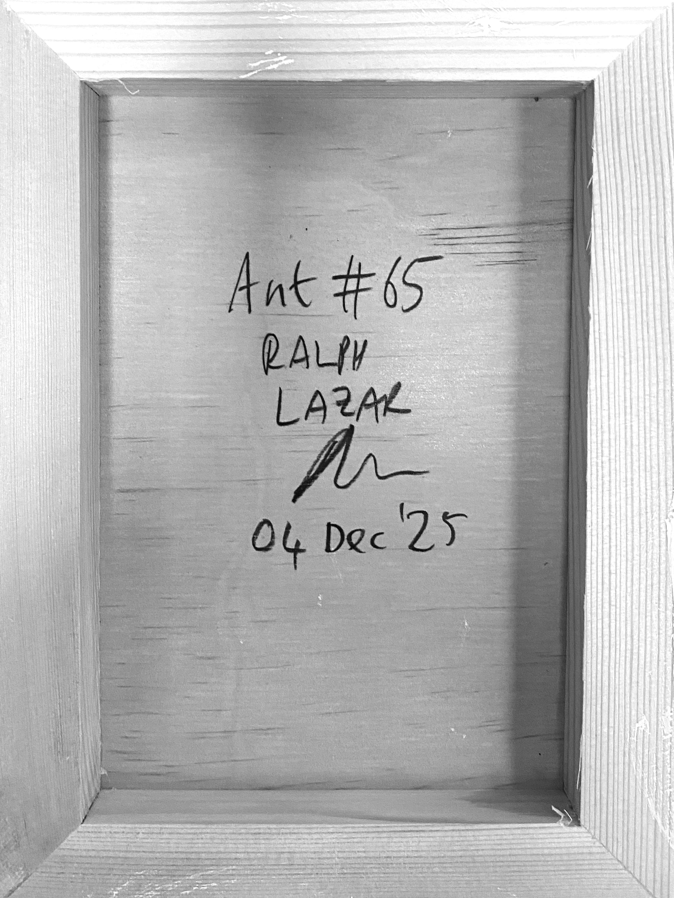 Ant #65