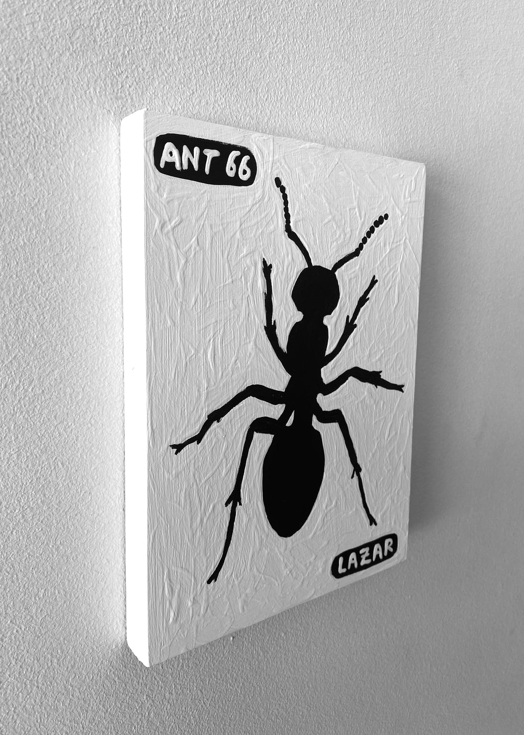 Ant #66