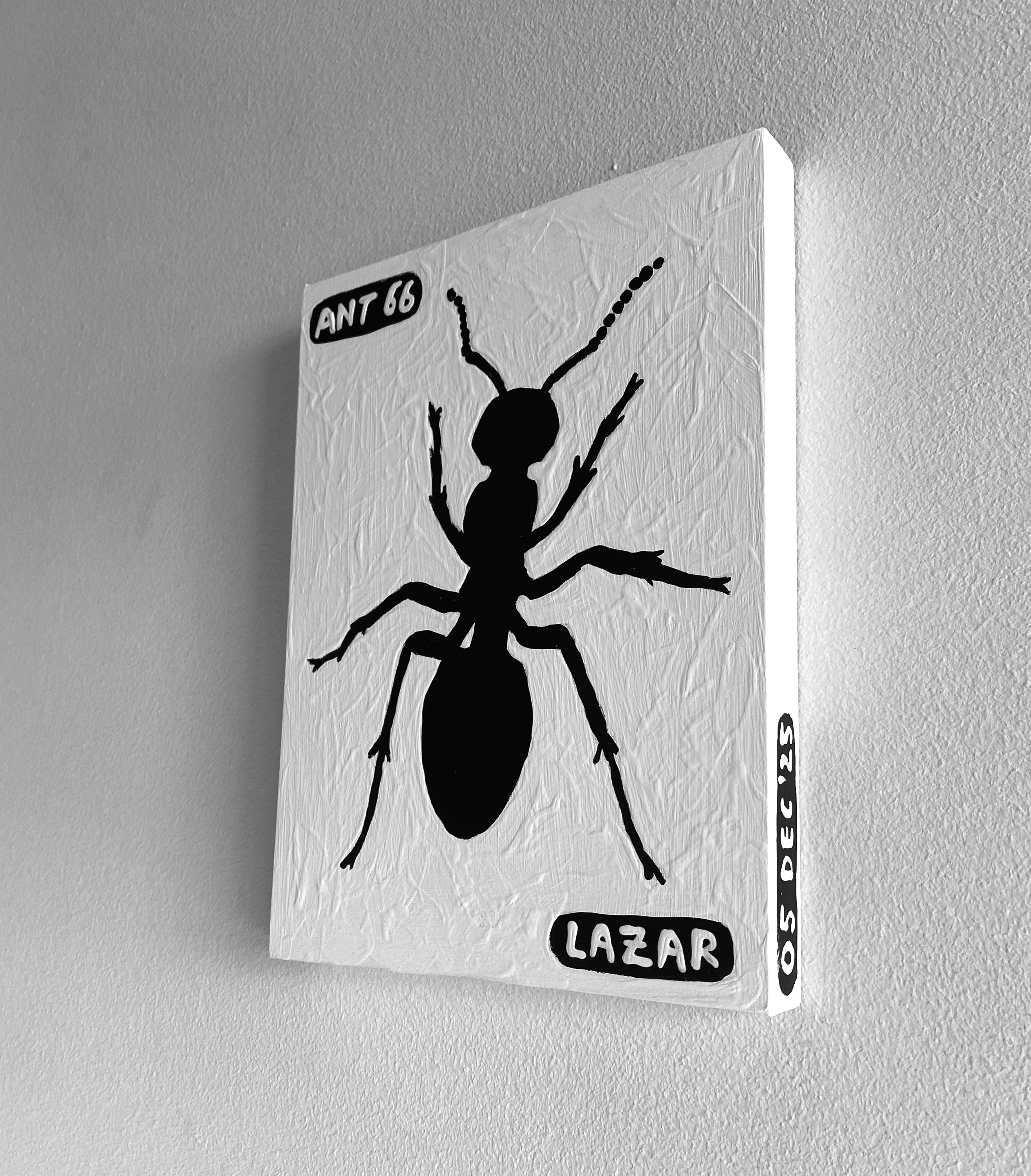 Ant #66