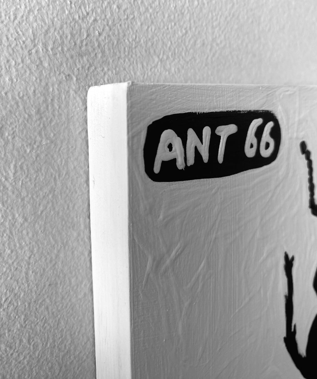 Ant #66