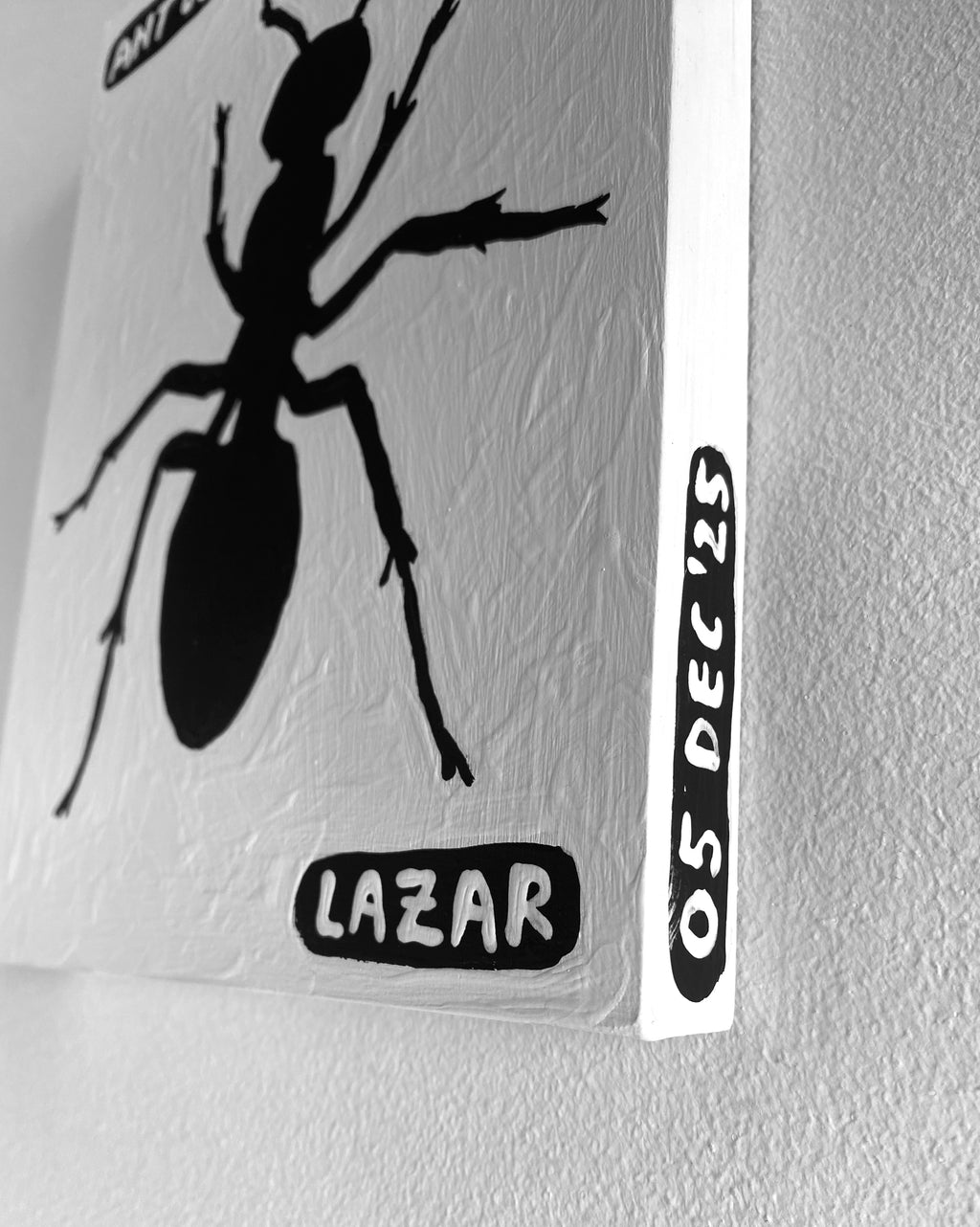 Ant #66