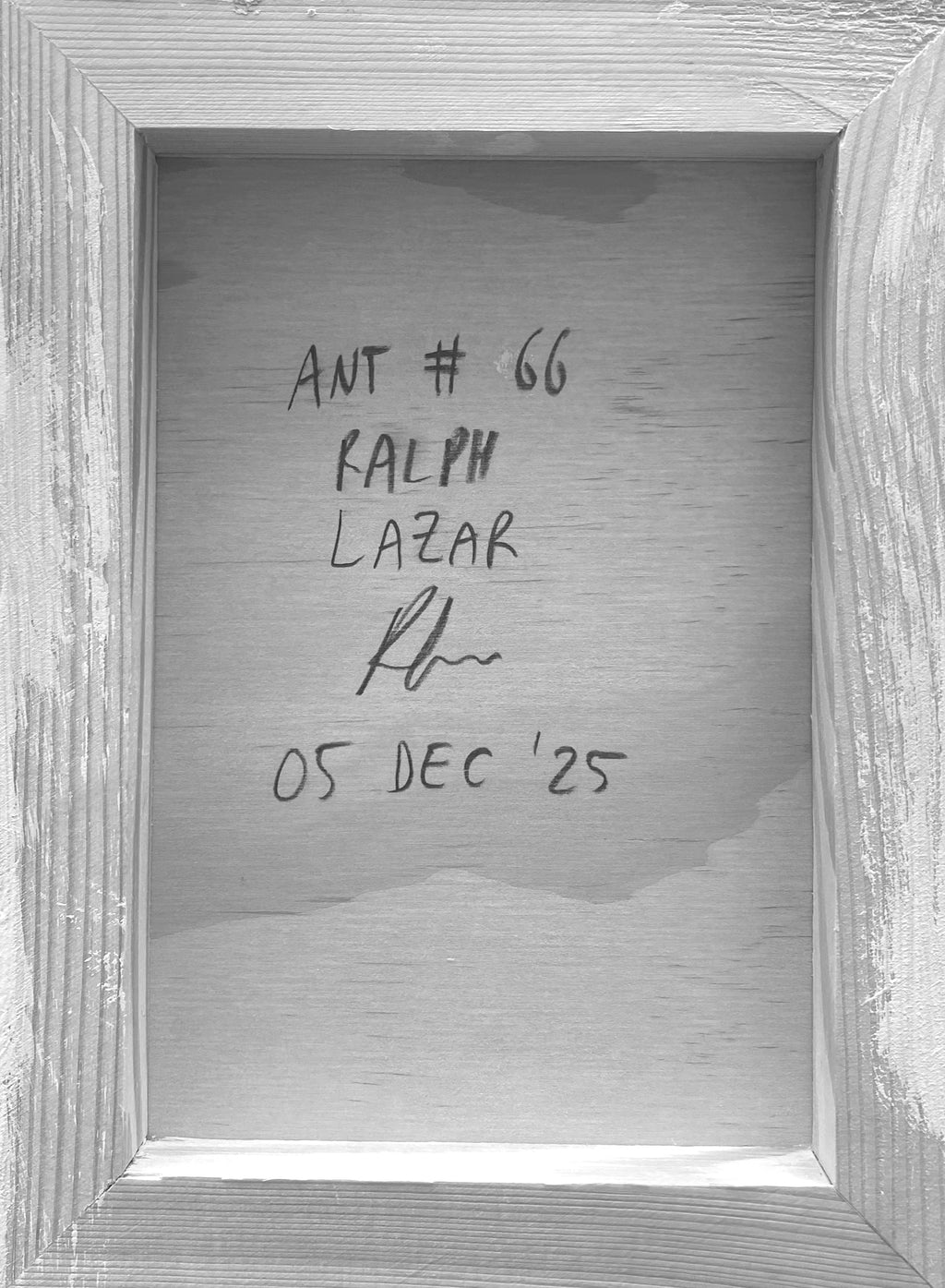 Ant #66