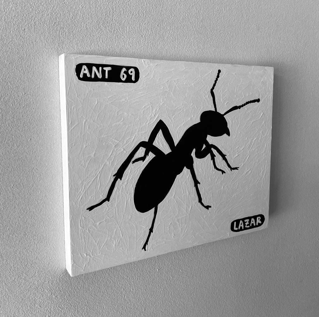 Ant #69