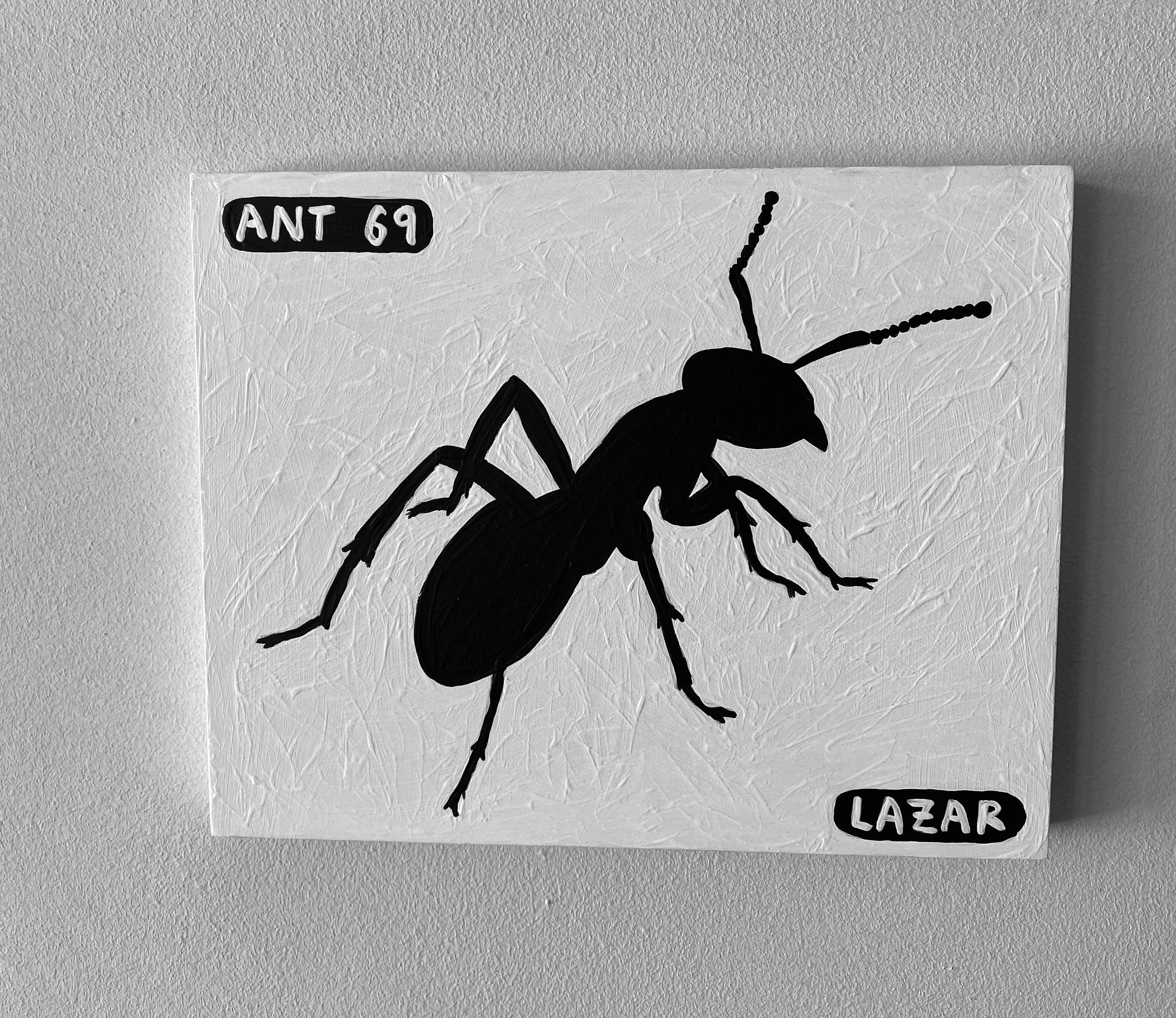 Ant #69
