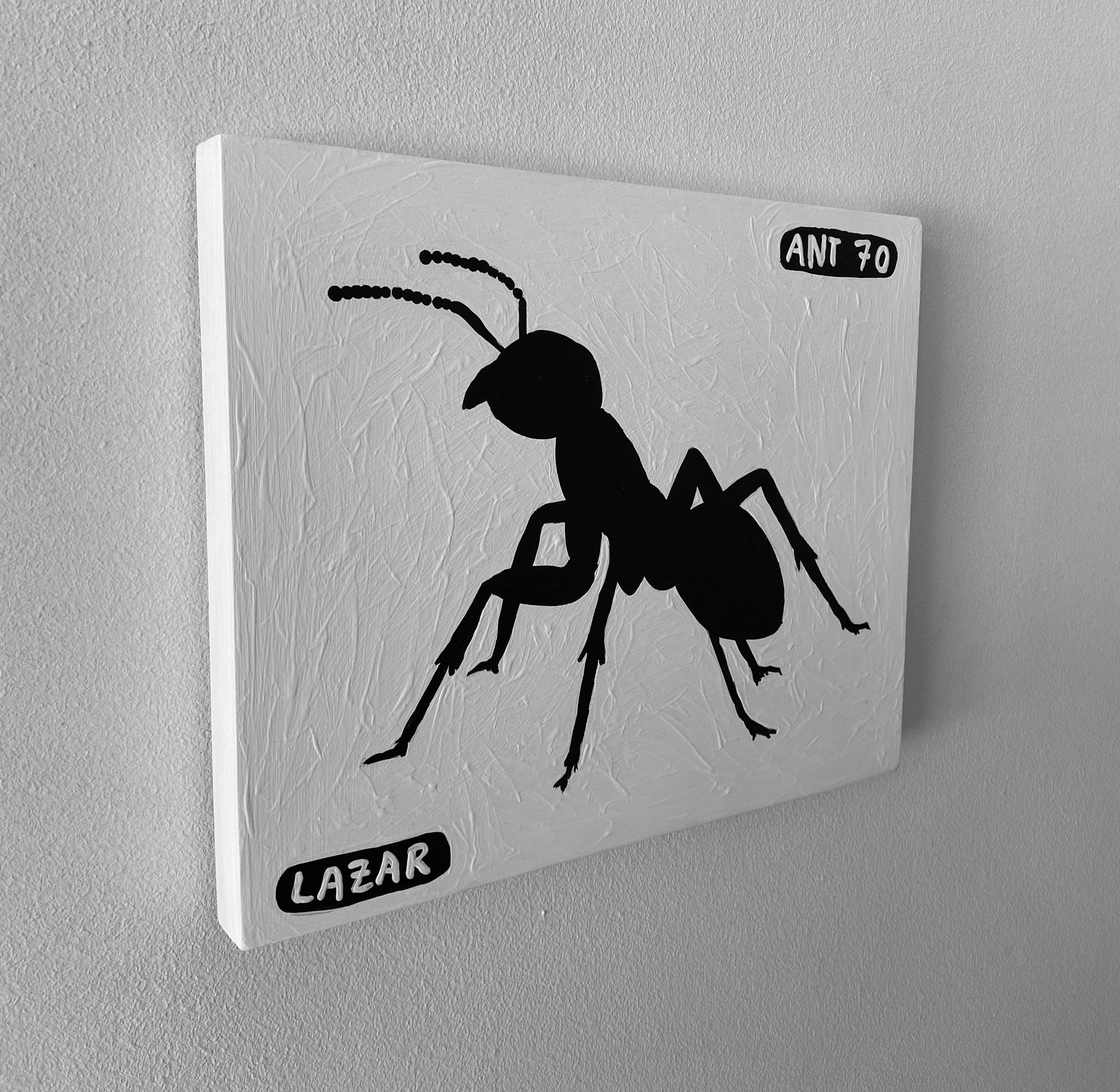 Ant #70
