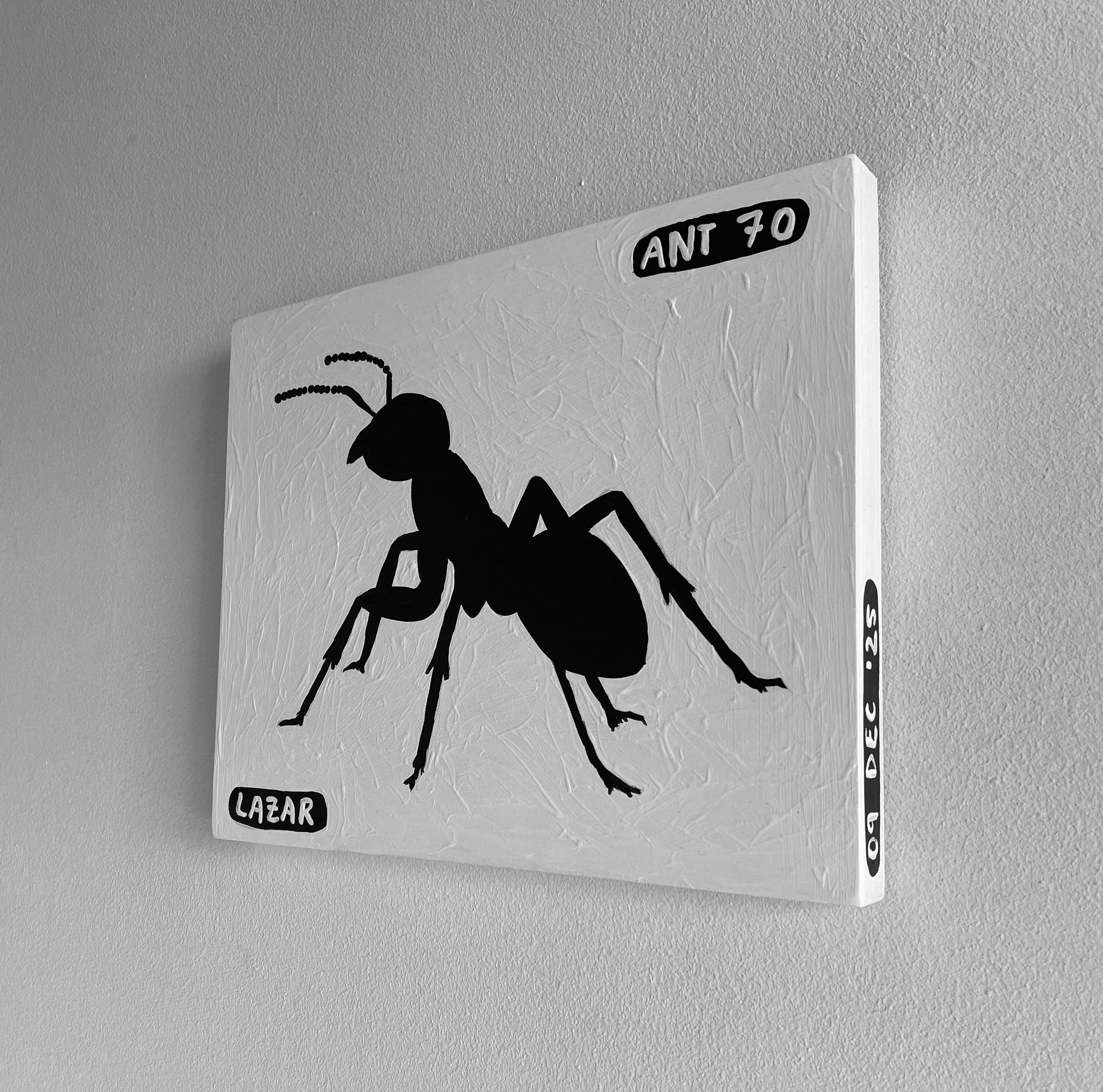 Ant #70