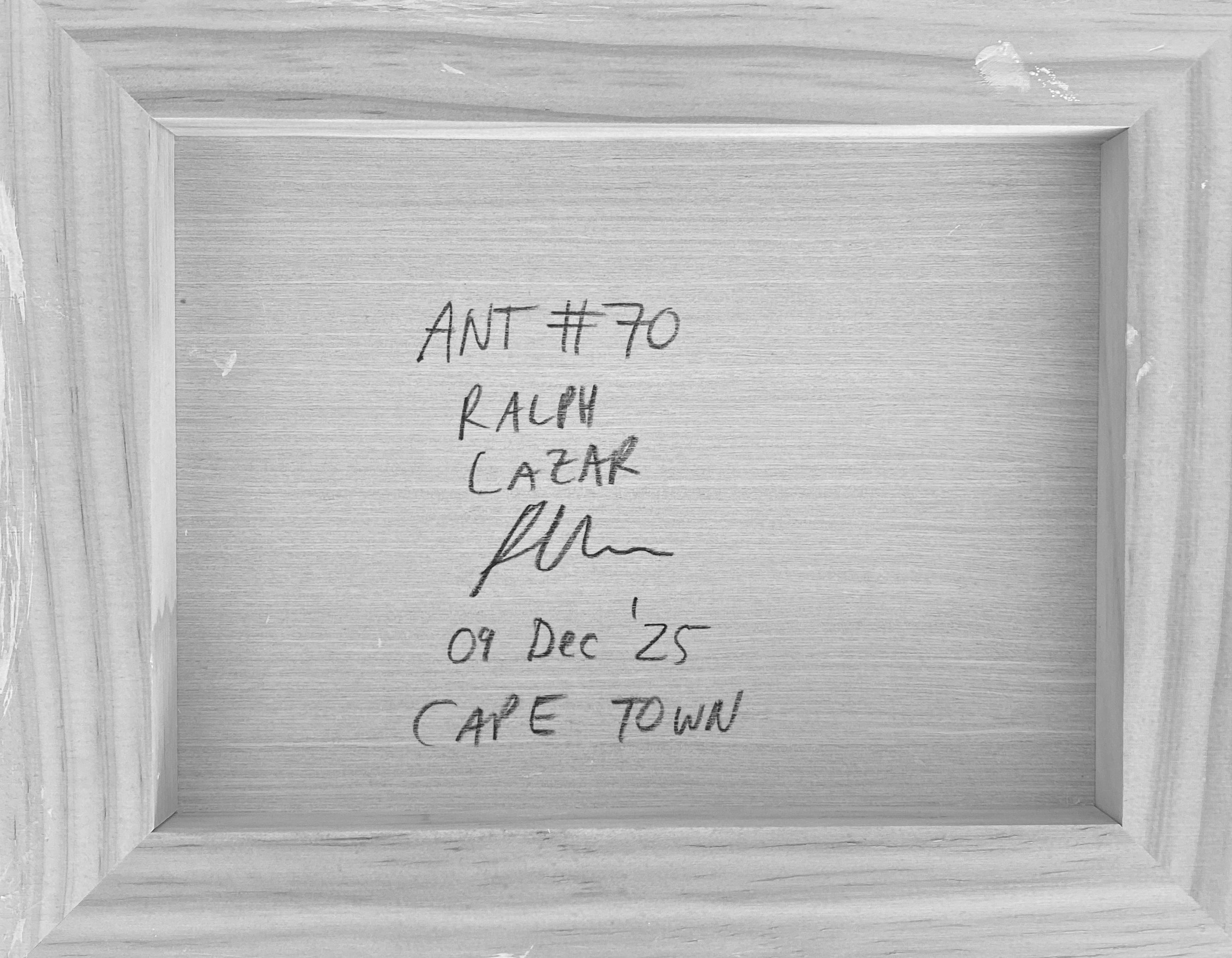Ant #70
