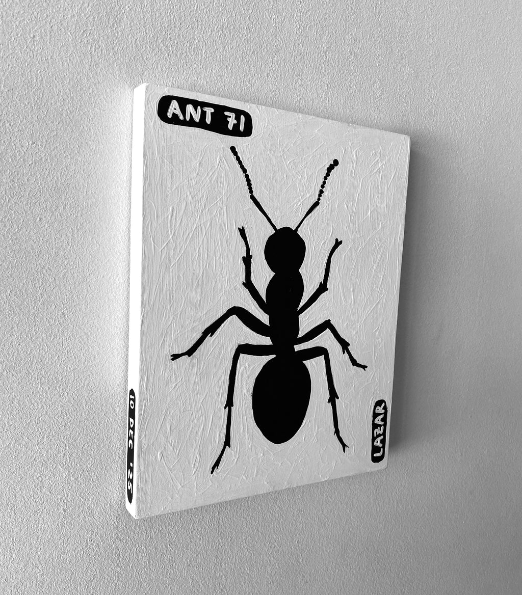 Ant #71