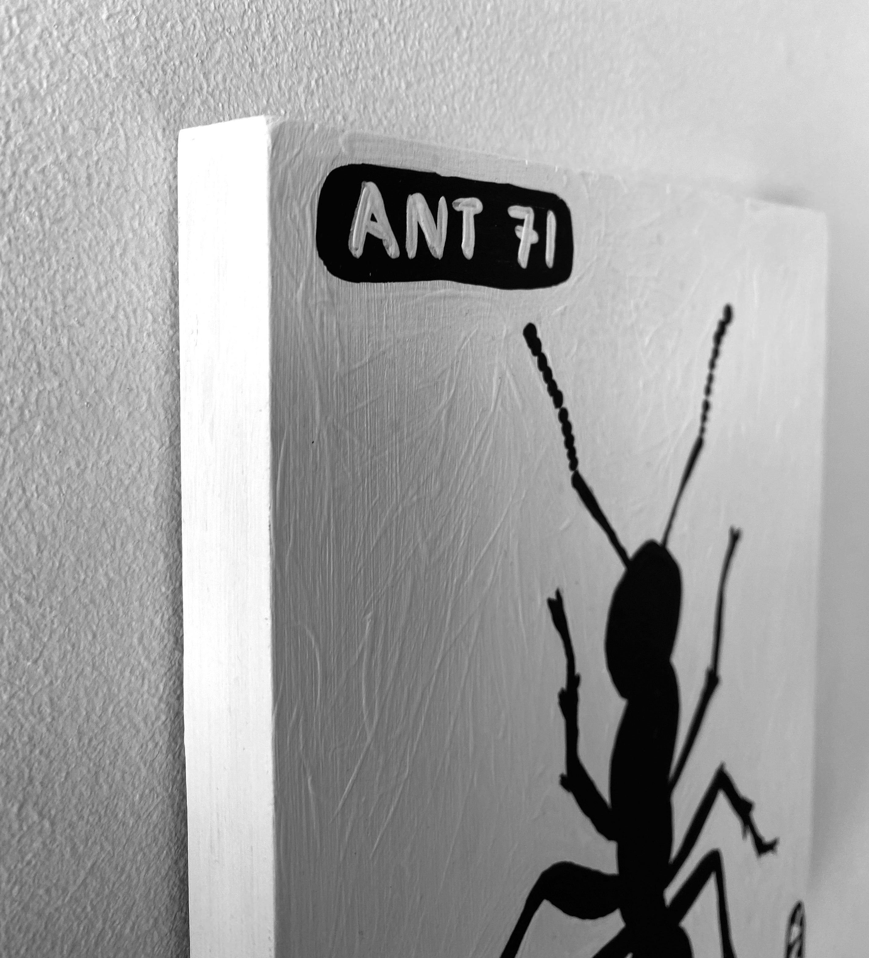 Ant #71