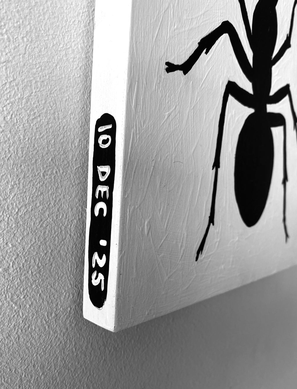 Ant #71