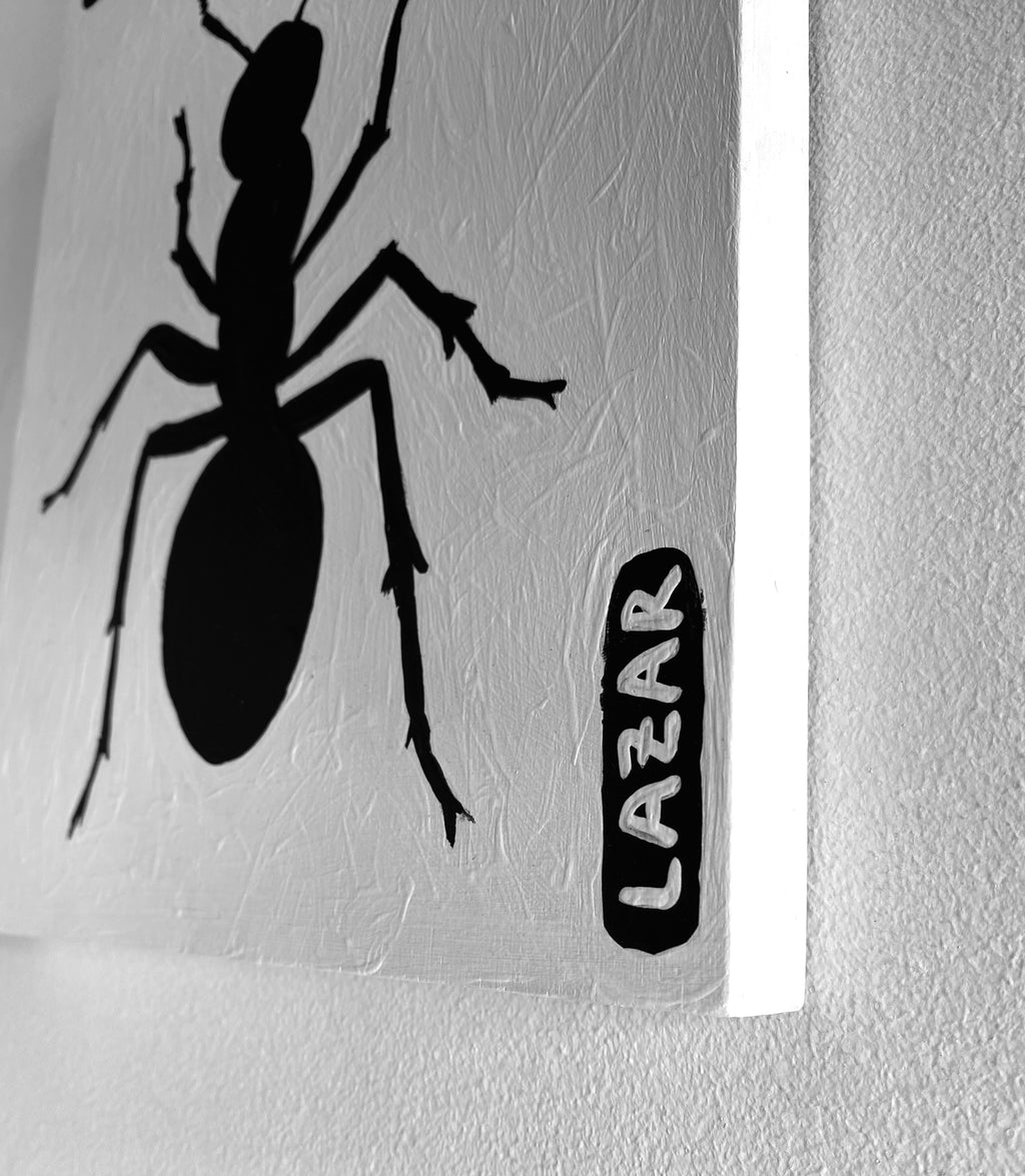 Ant #71