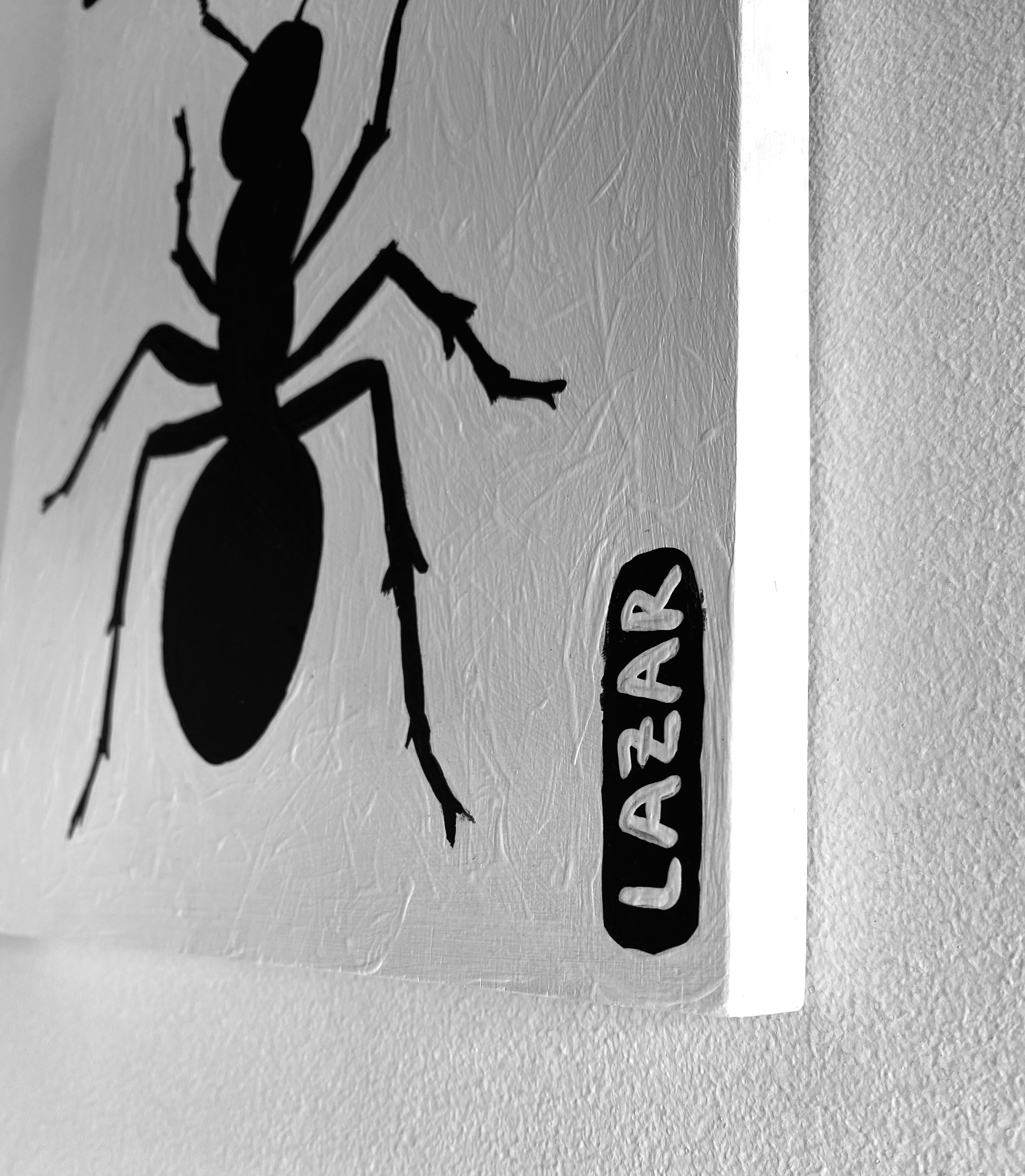 Ant #71