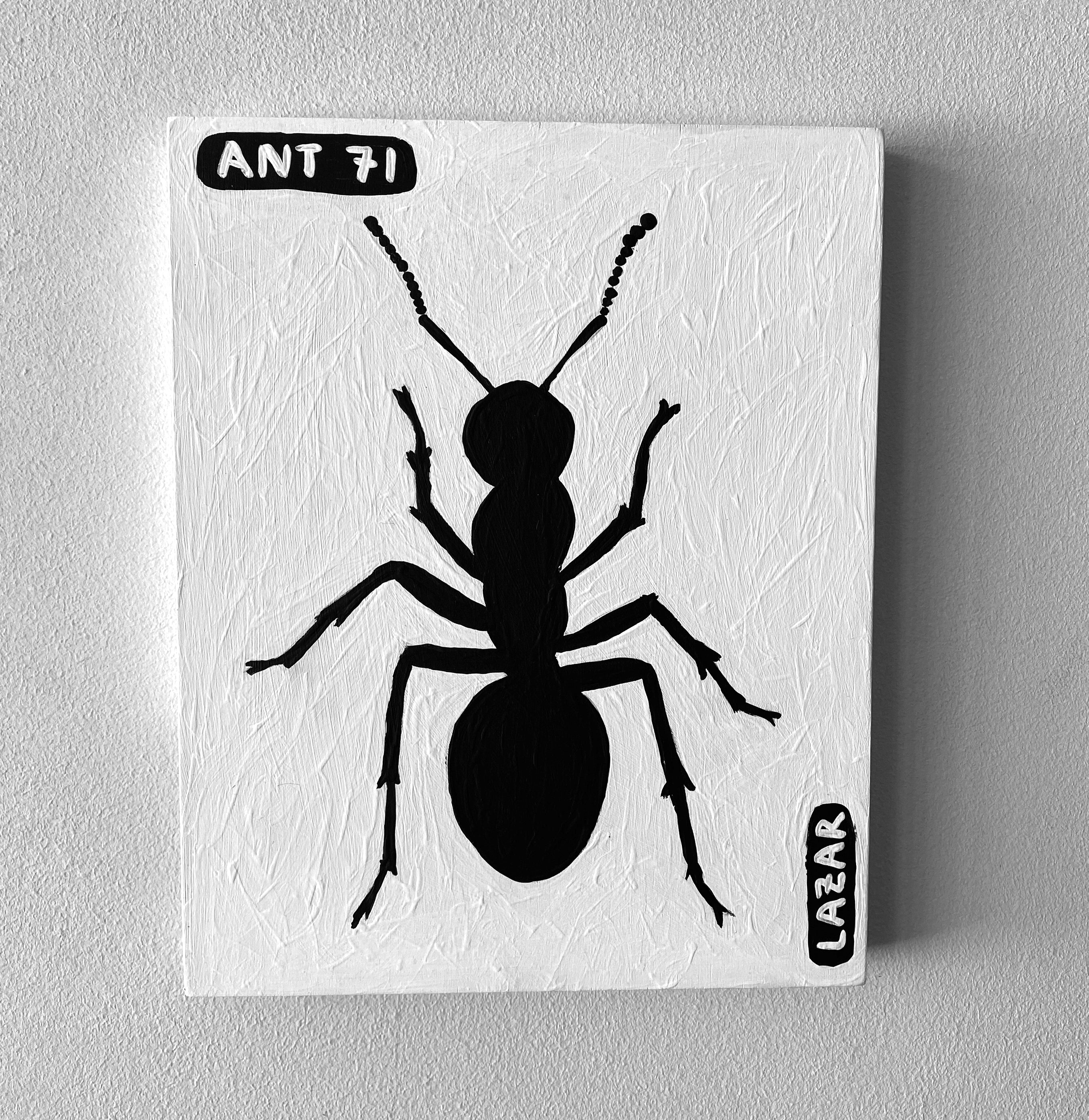 Ant #71