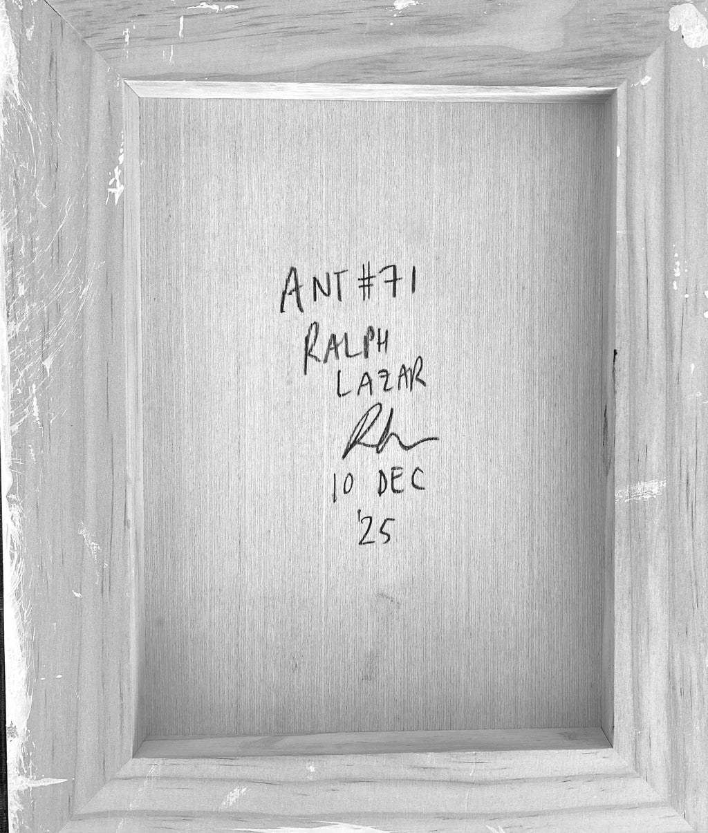Ant #71