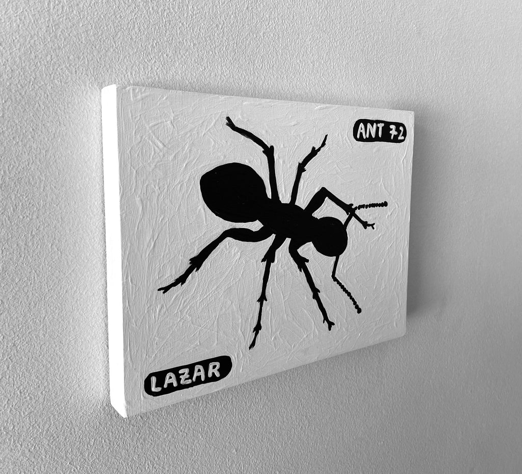 Ant #72