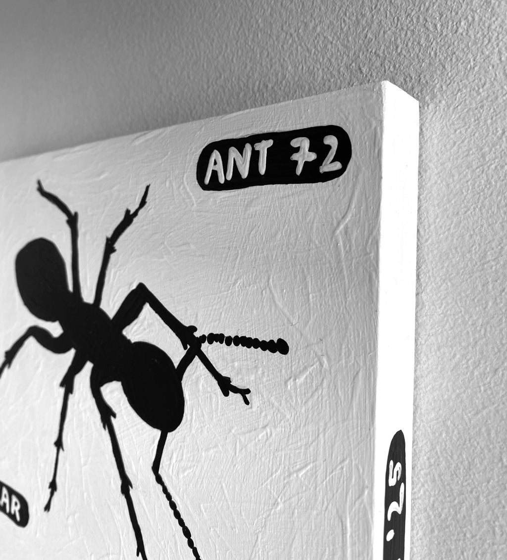 Ant #72