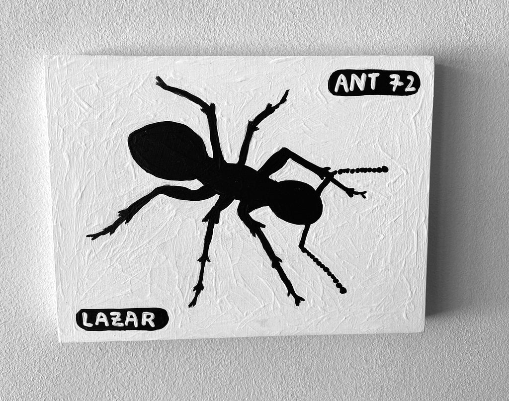 Ant #72