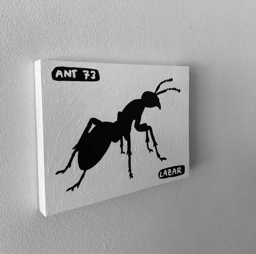 Ant #73