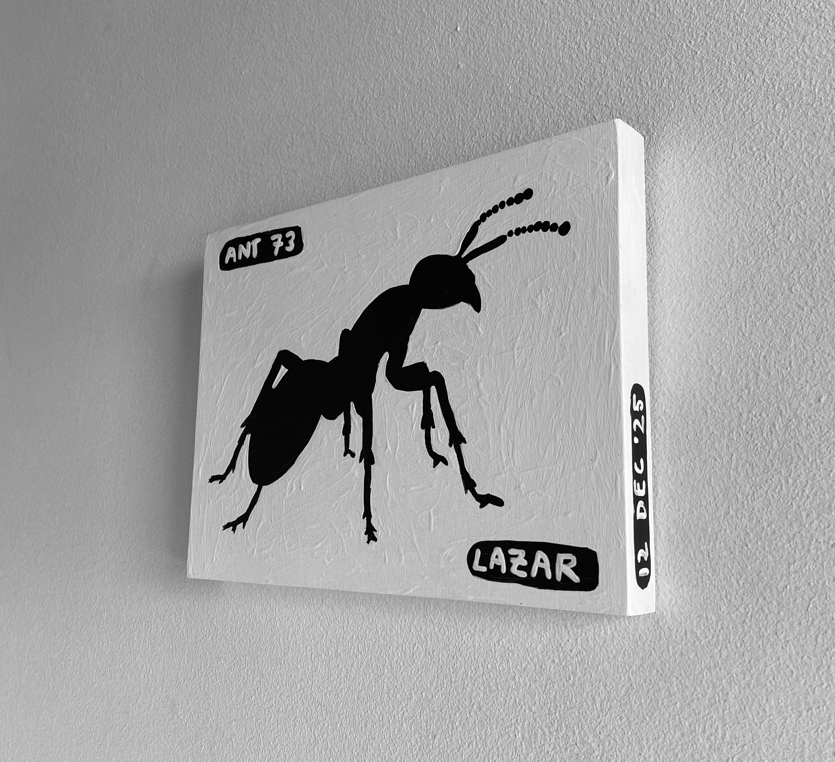 Ant #73