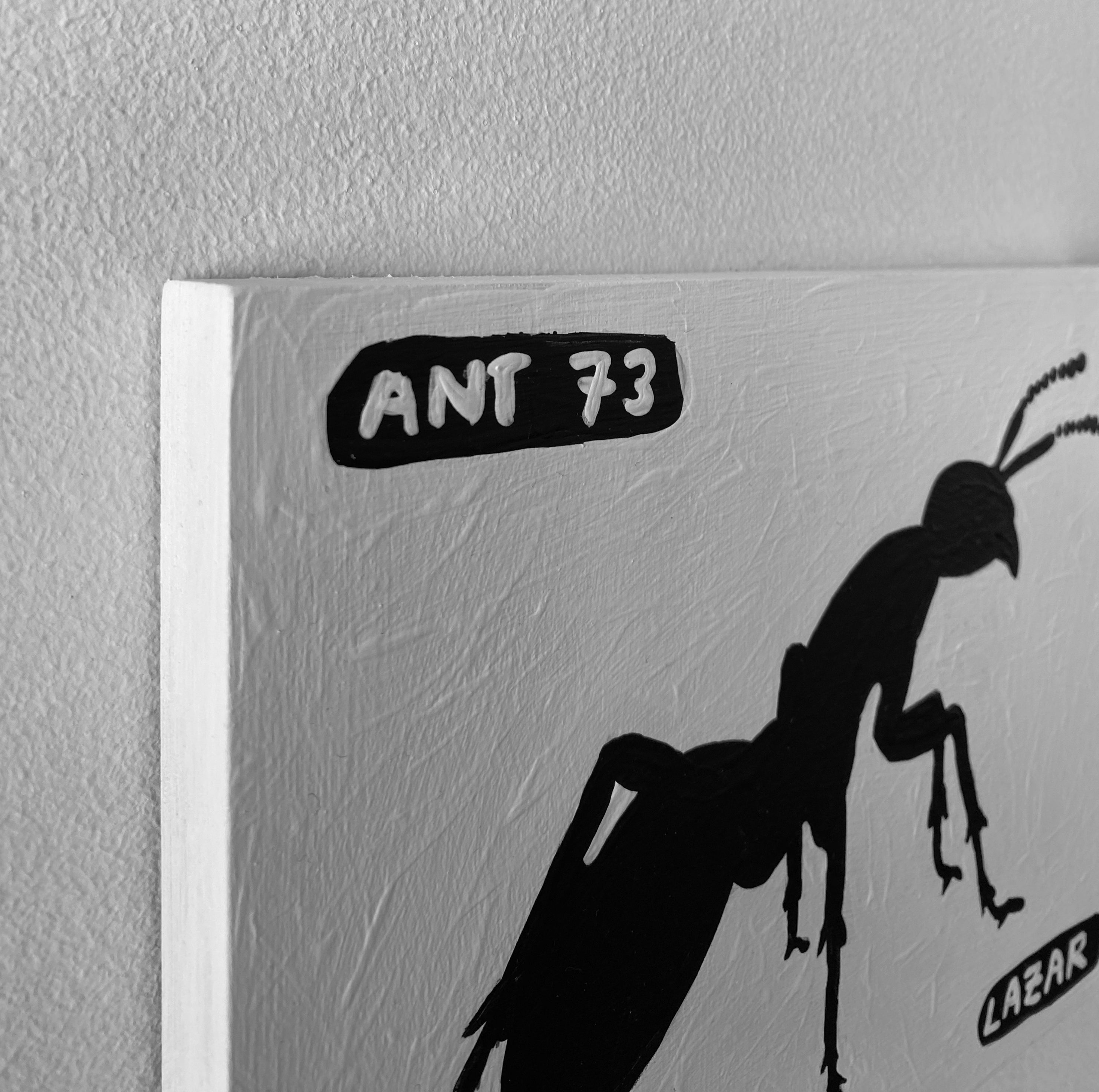 Ant #73
