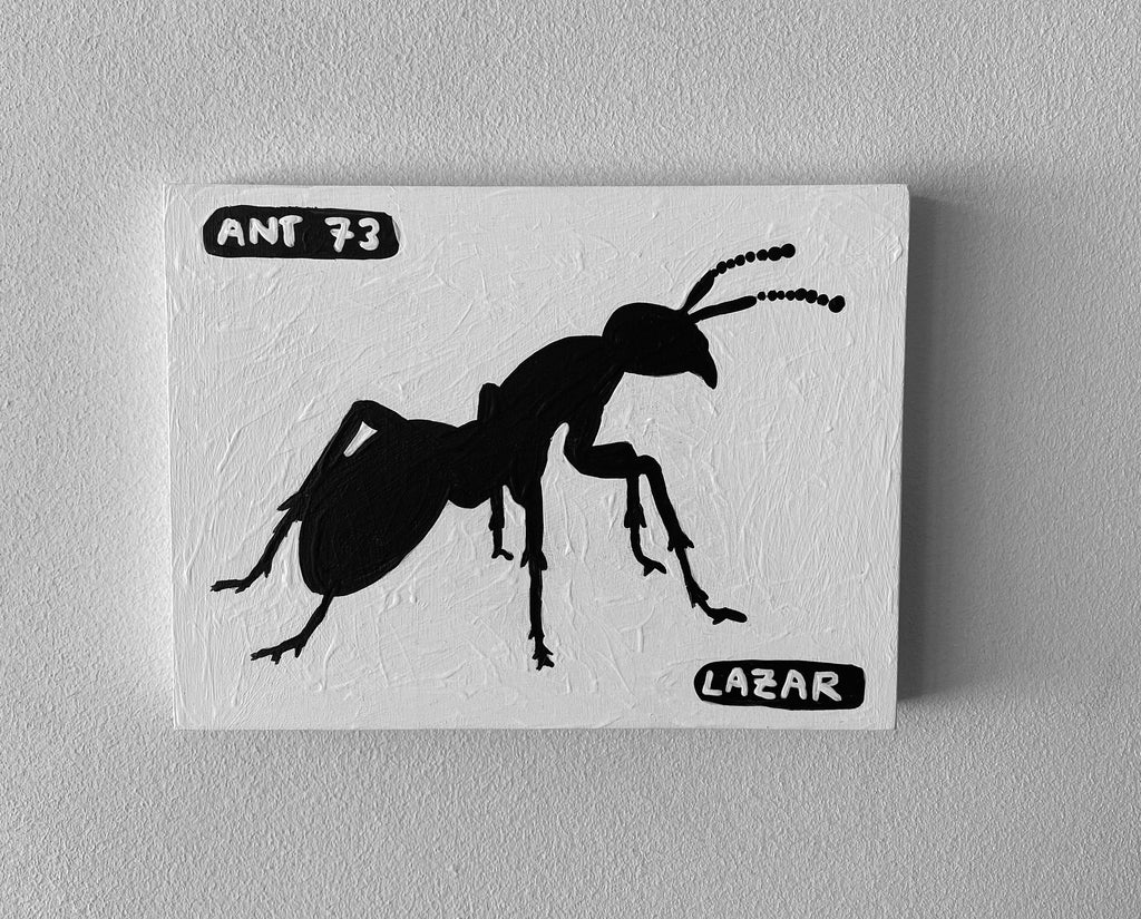 Ant #73