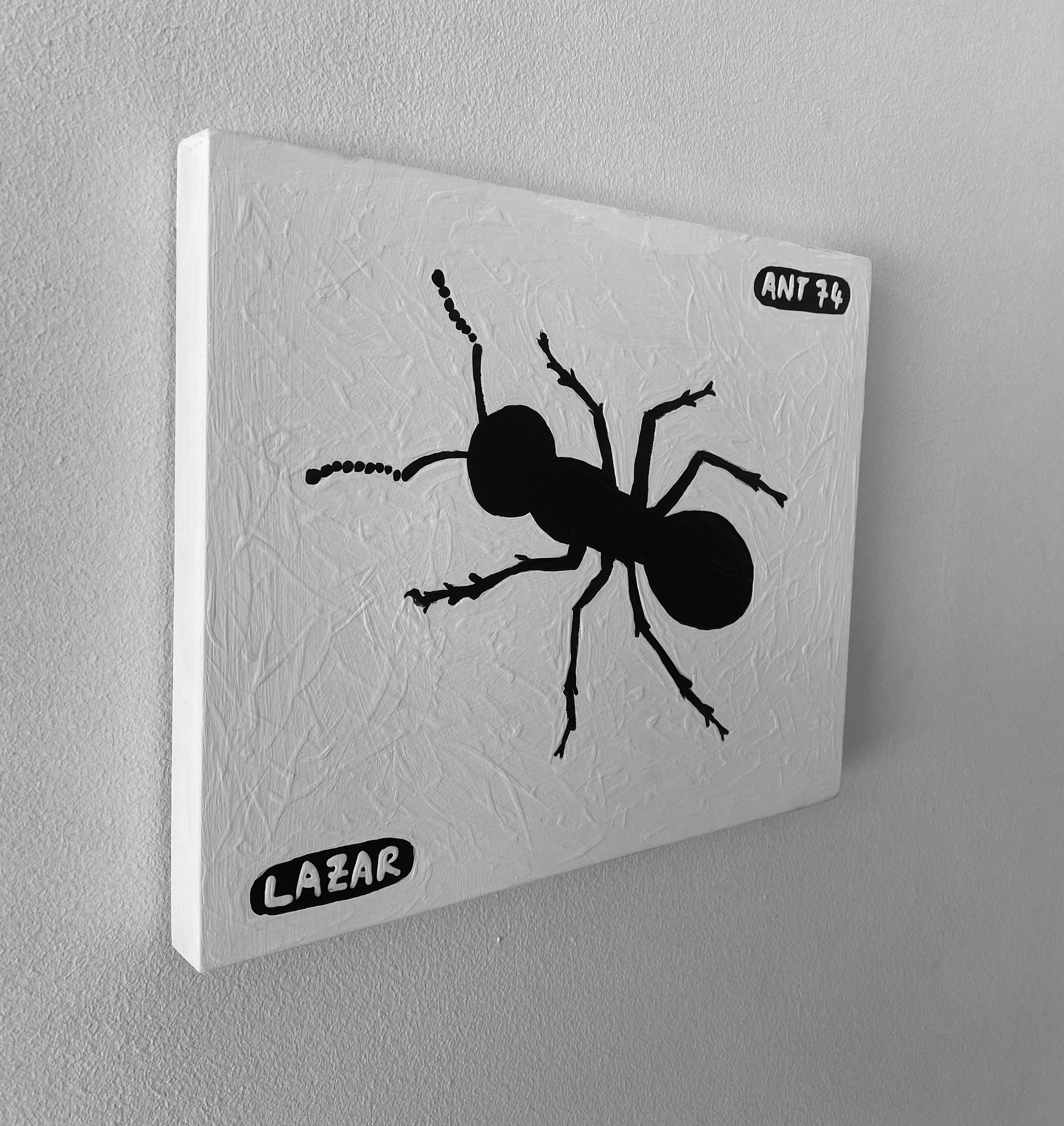 Ant #74