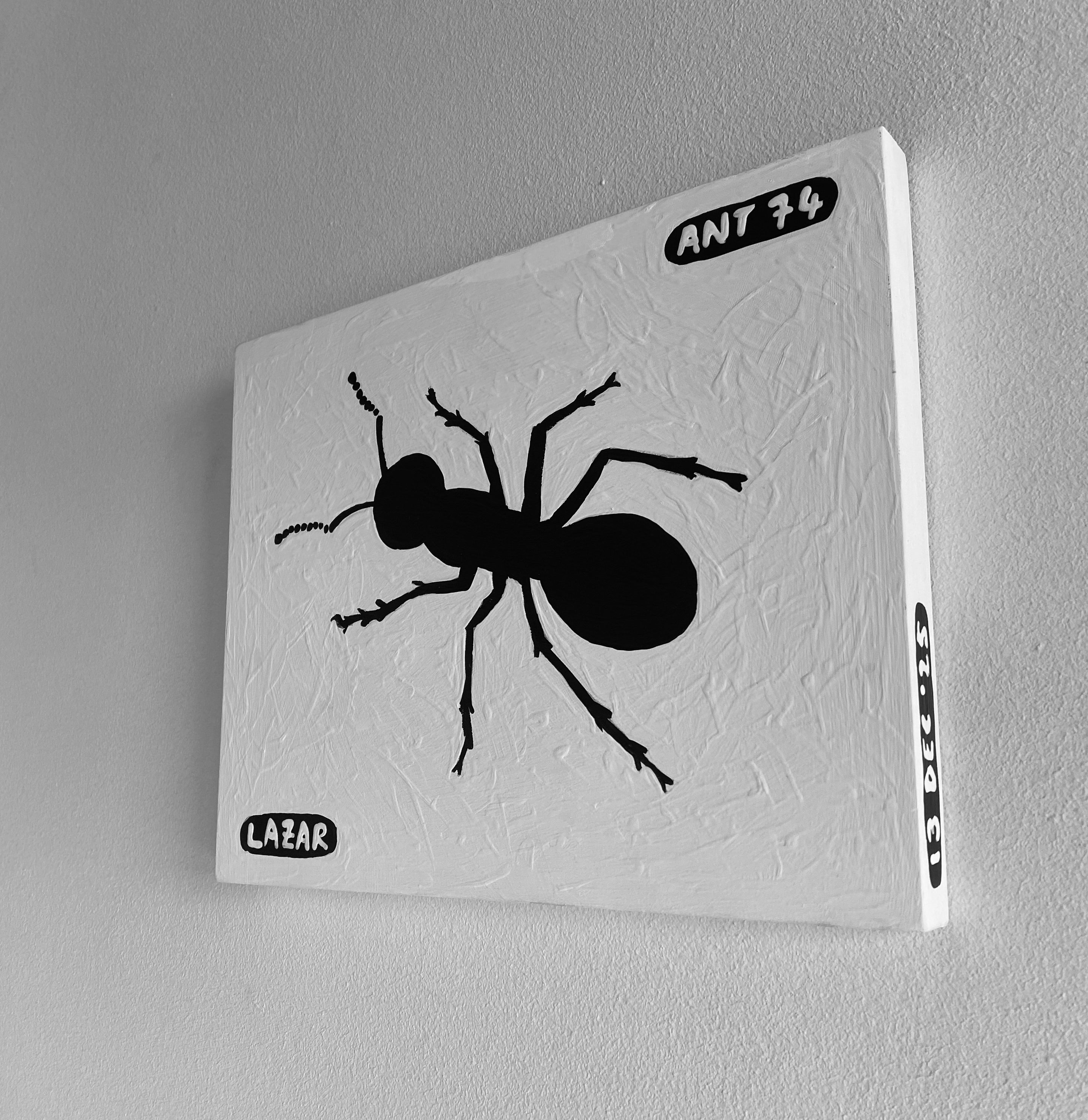 Ant #74