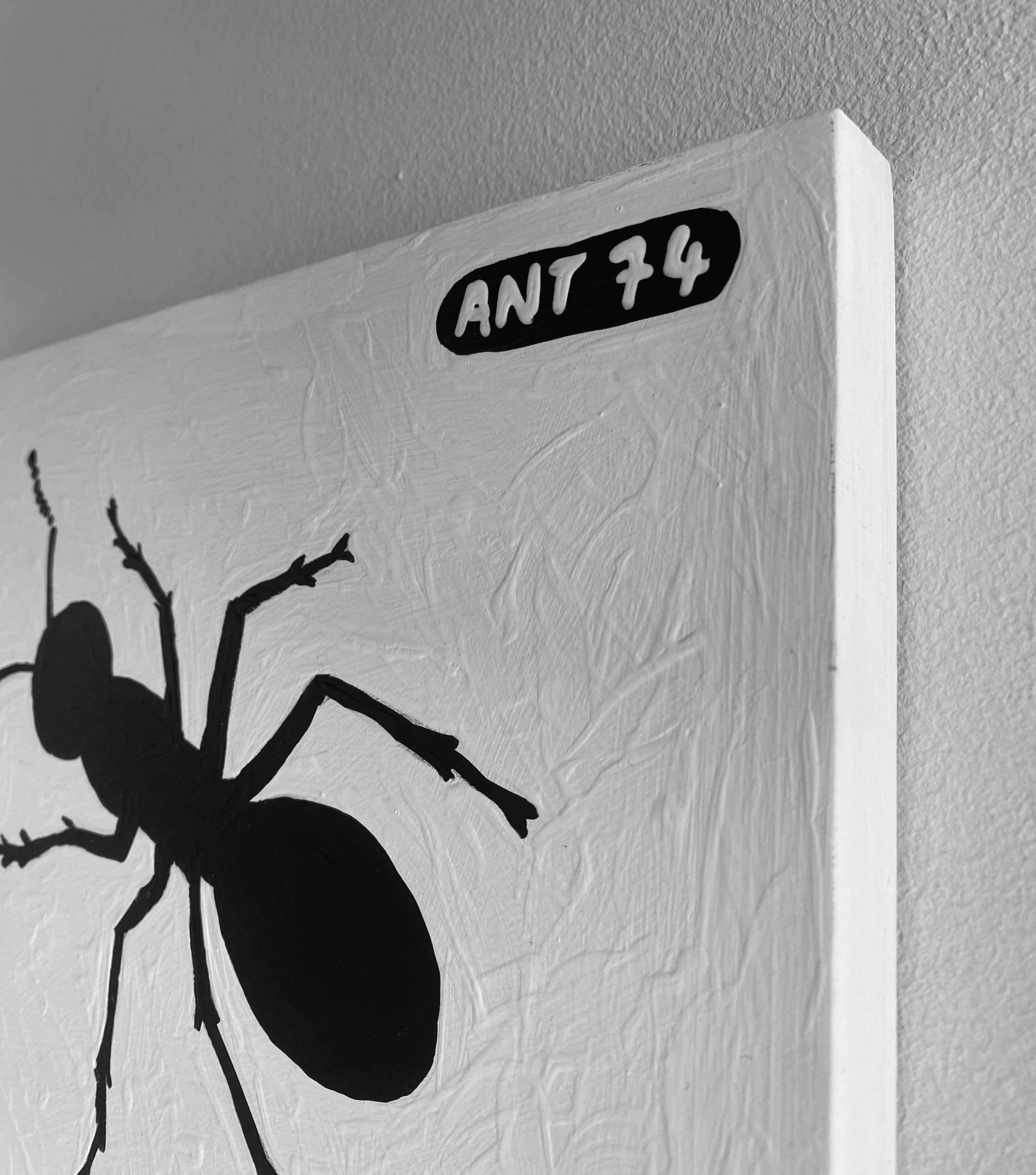 Ant #74