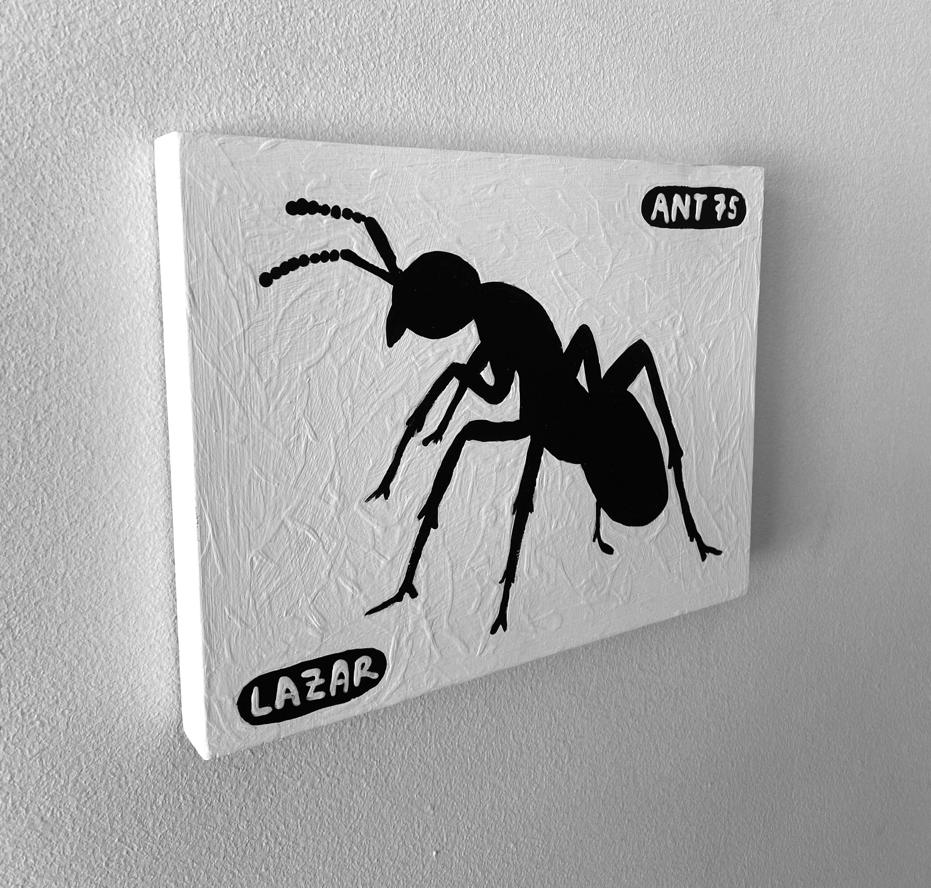 Ant #75