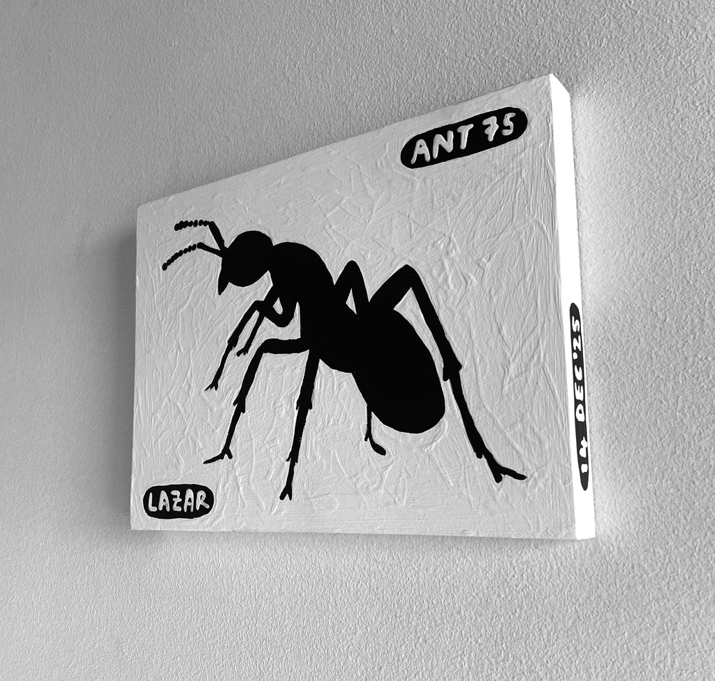 Ant #75