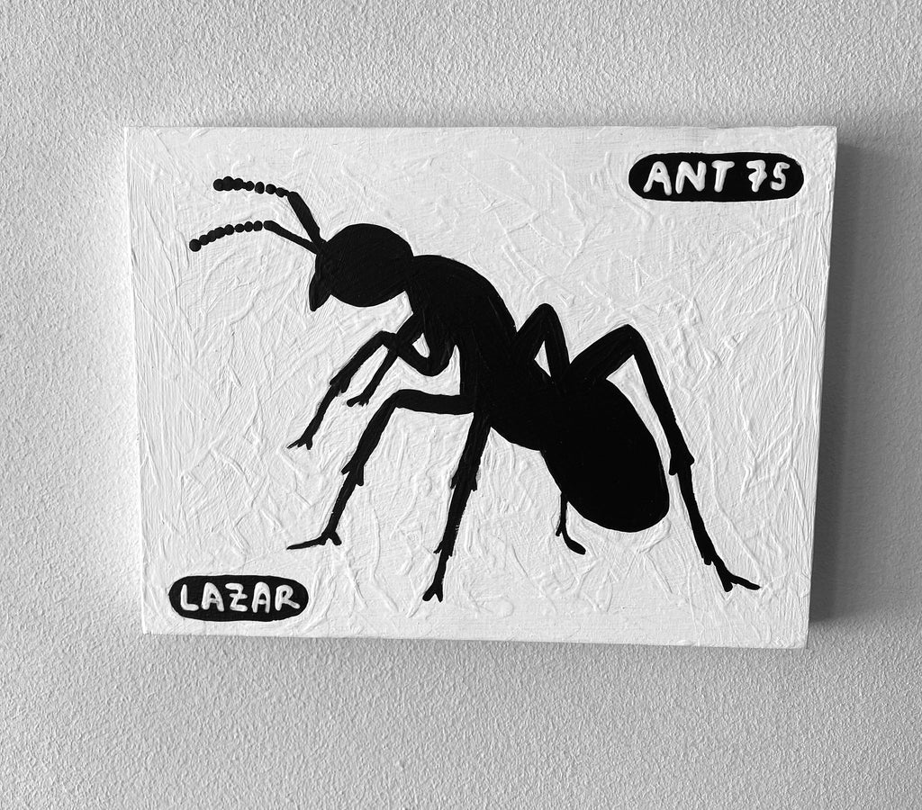 Ant #75
