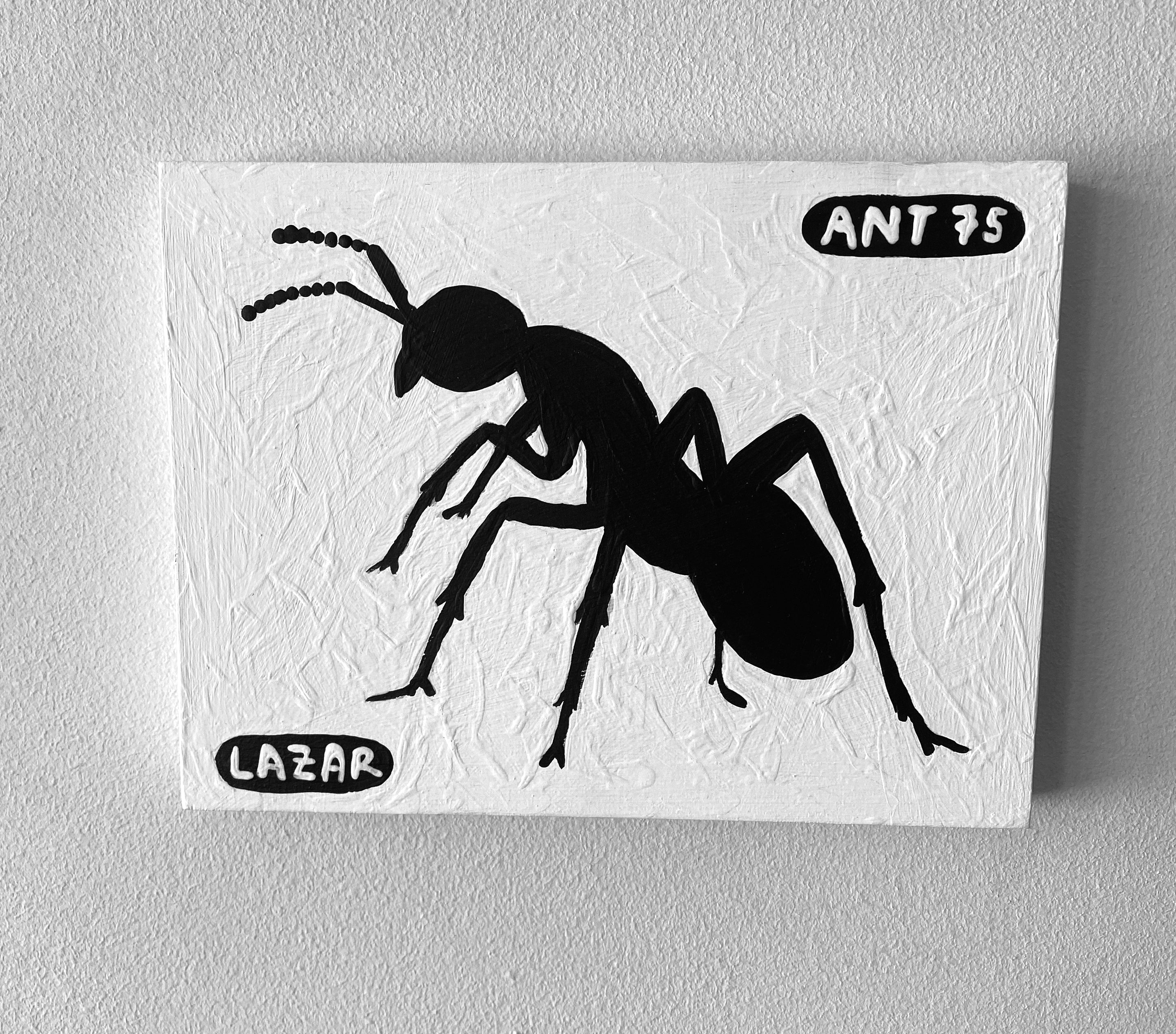 Ant #75