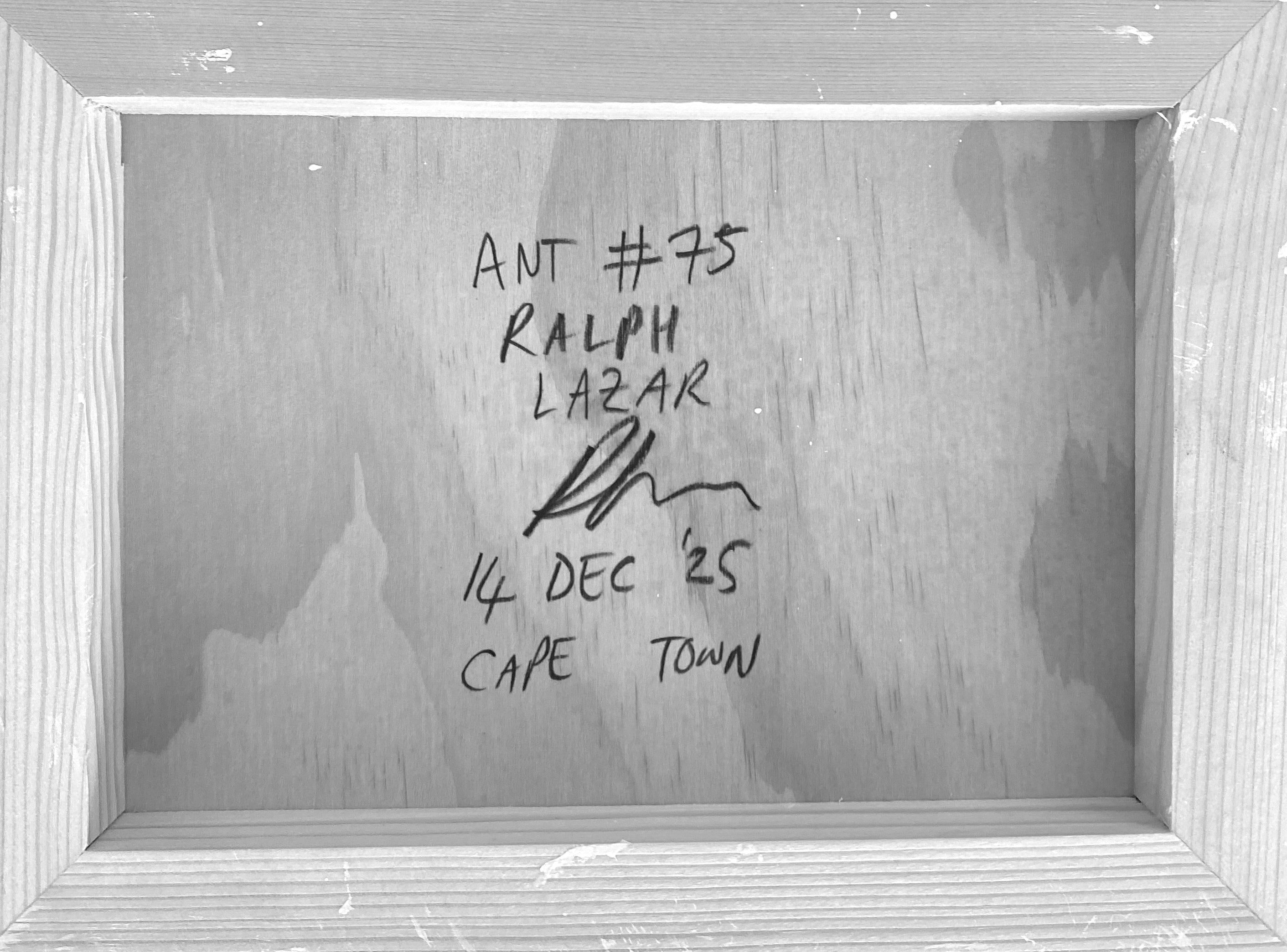 Ant #75