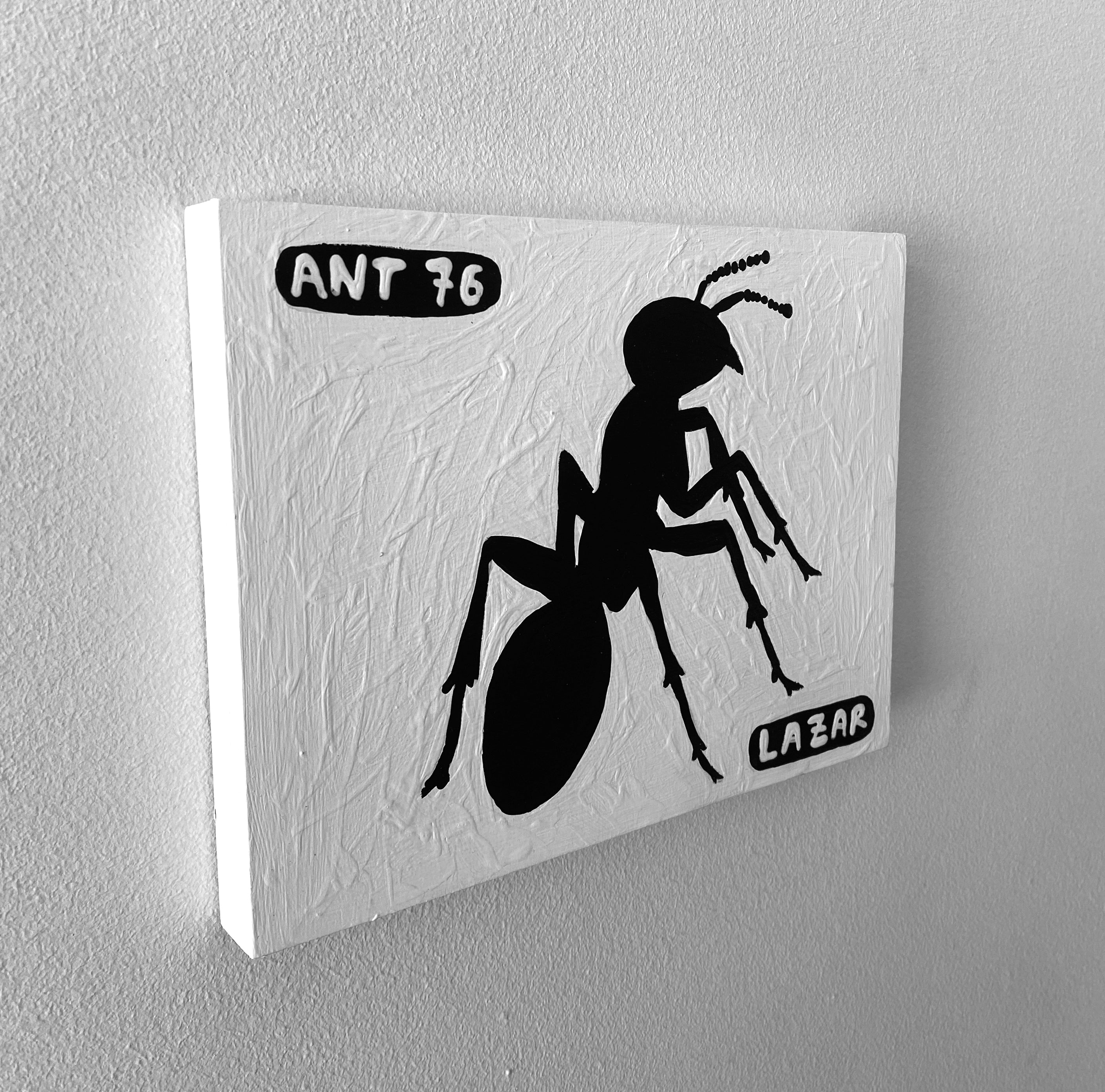 Ant #76