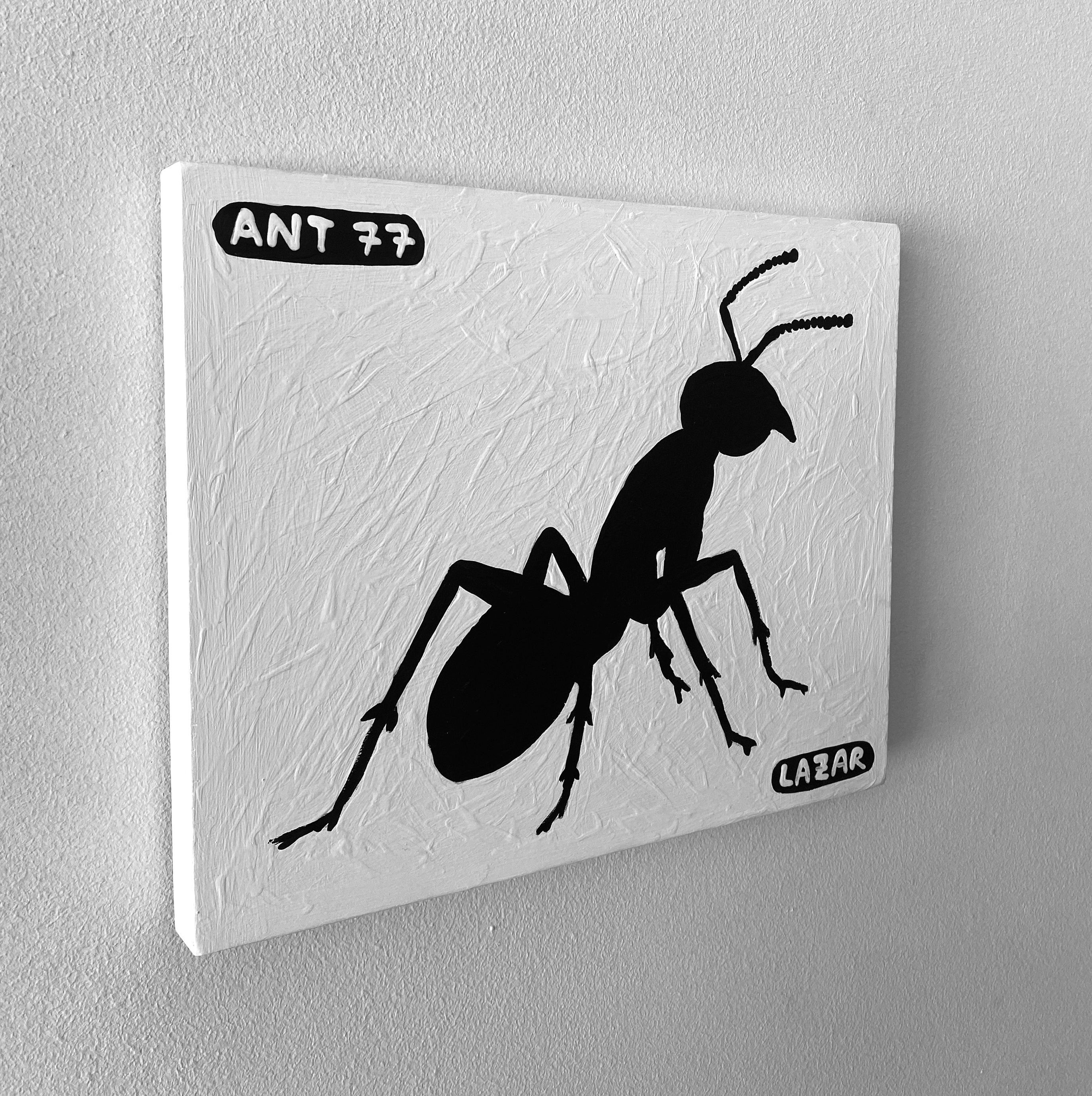 Ant #77