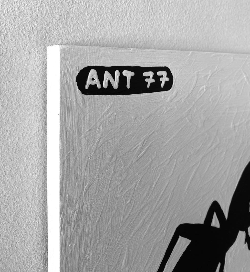 Ant #77