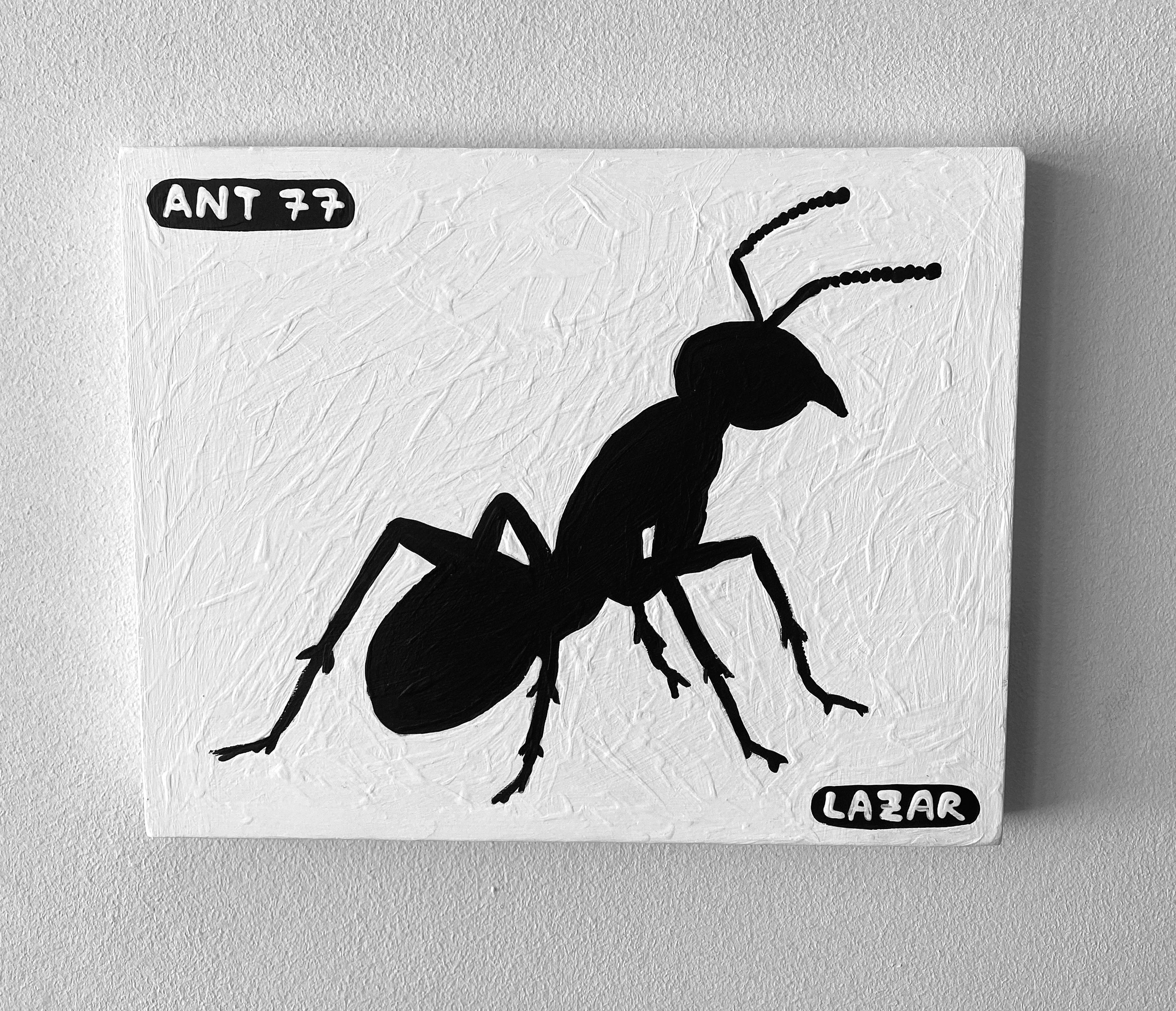 Ant #77