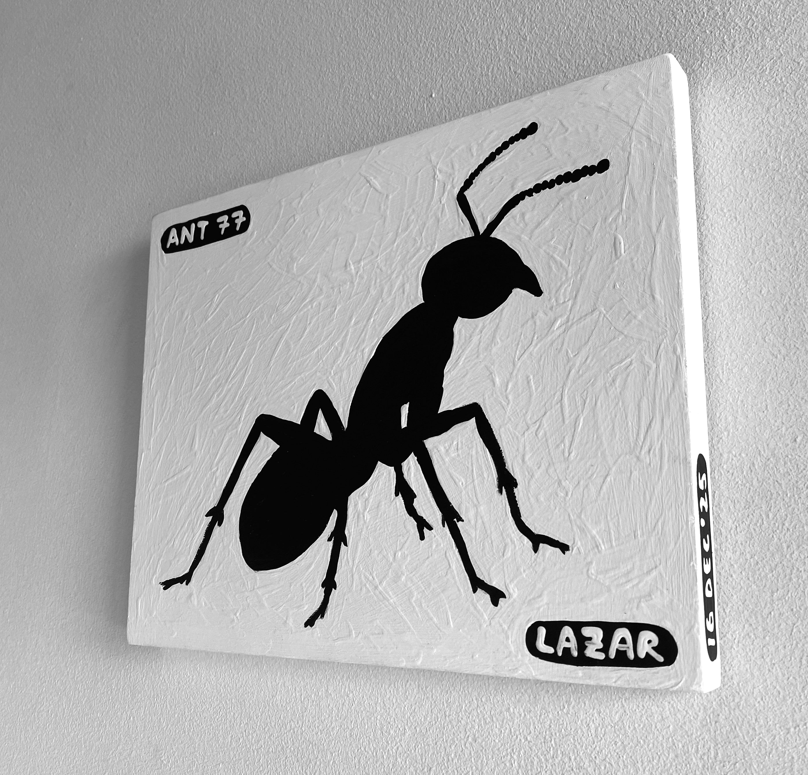 Ant #77