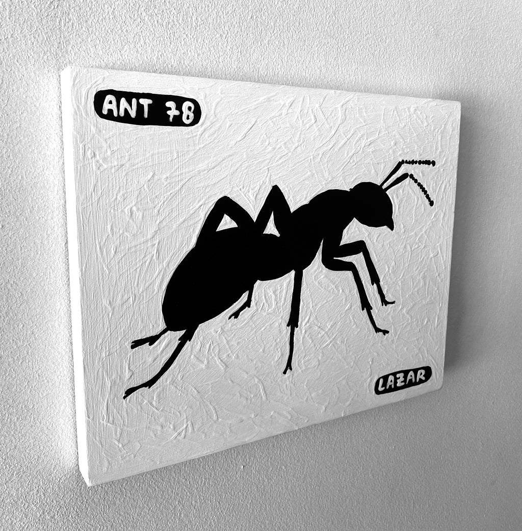 Ant #78