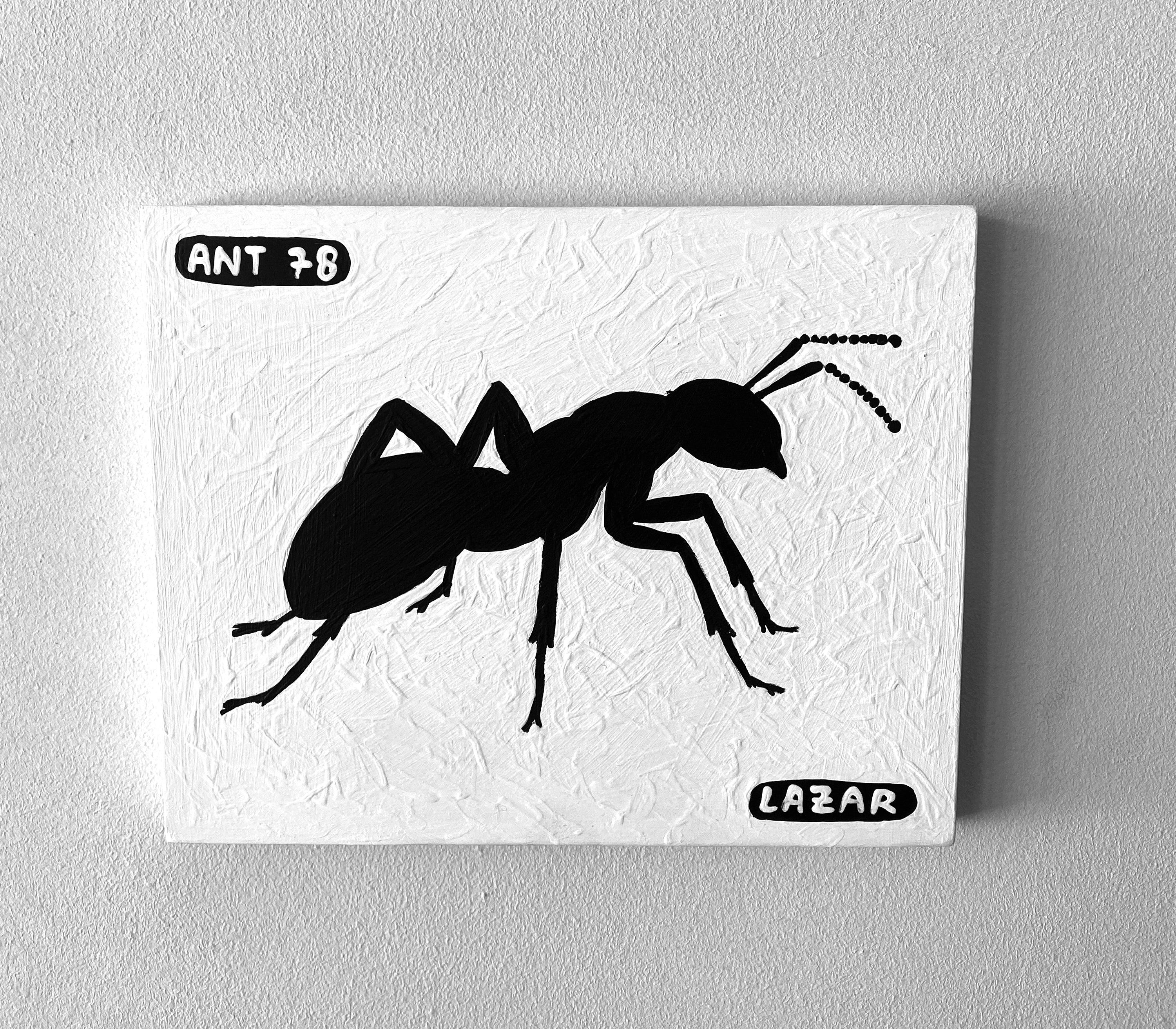 Ant #78
