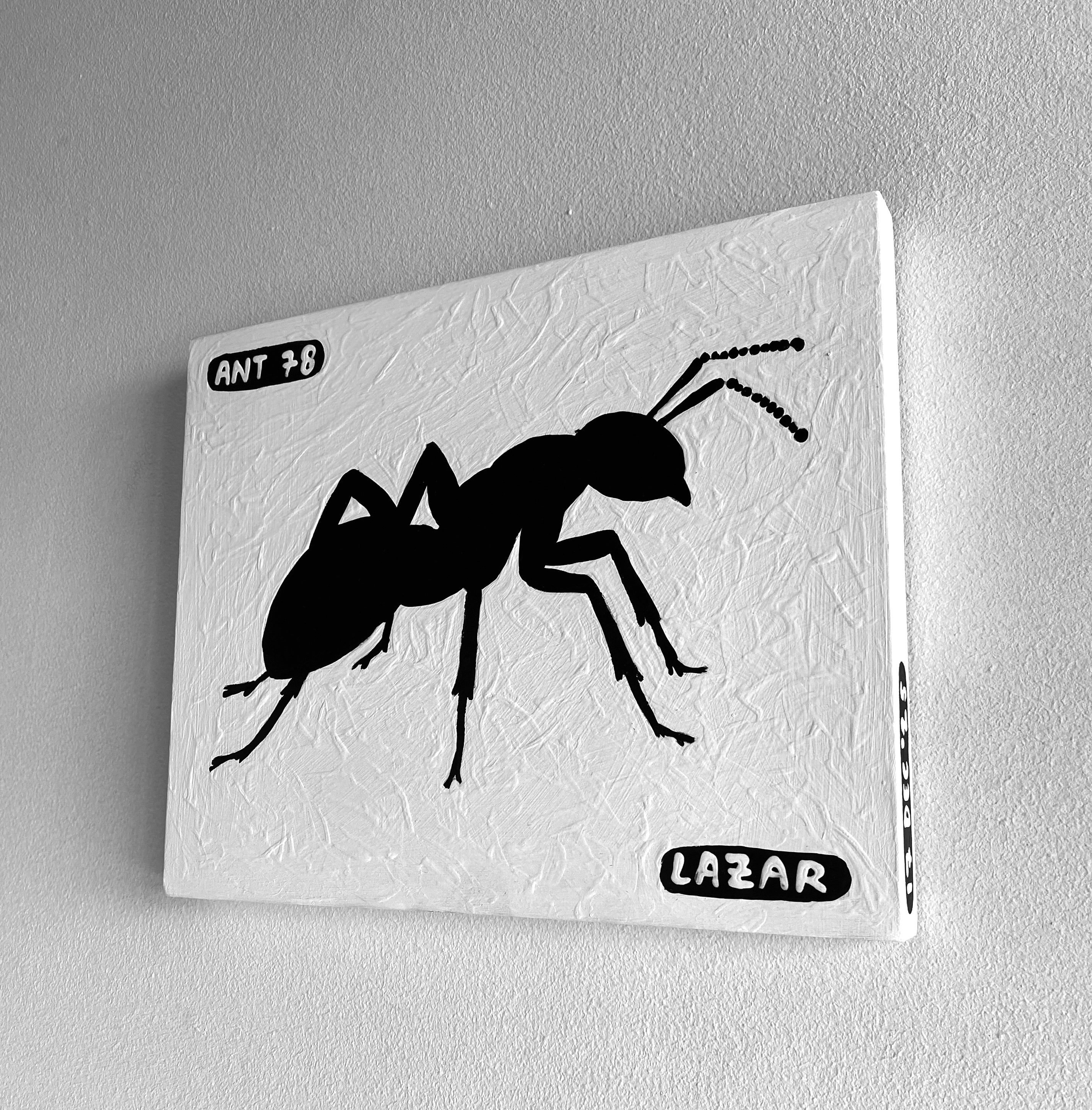 Ant #78