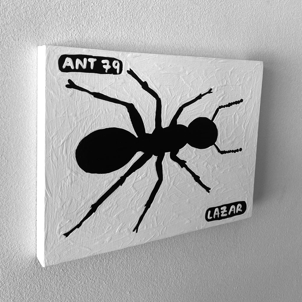Ant #79