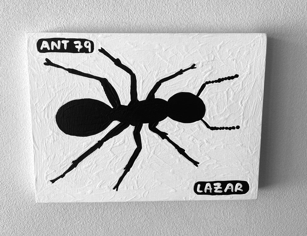 Ant #79