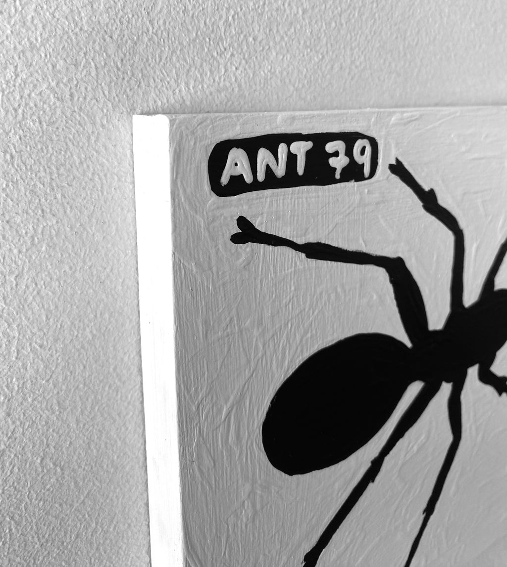 Ant #79
