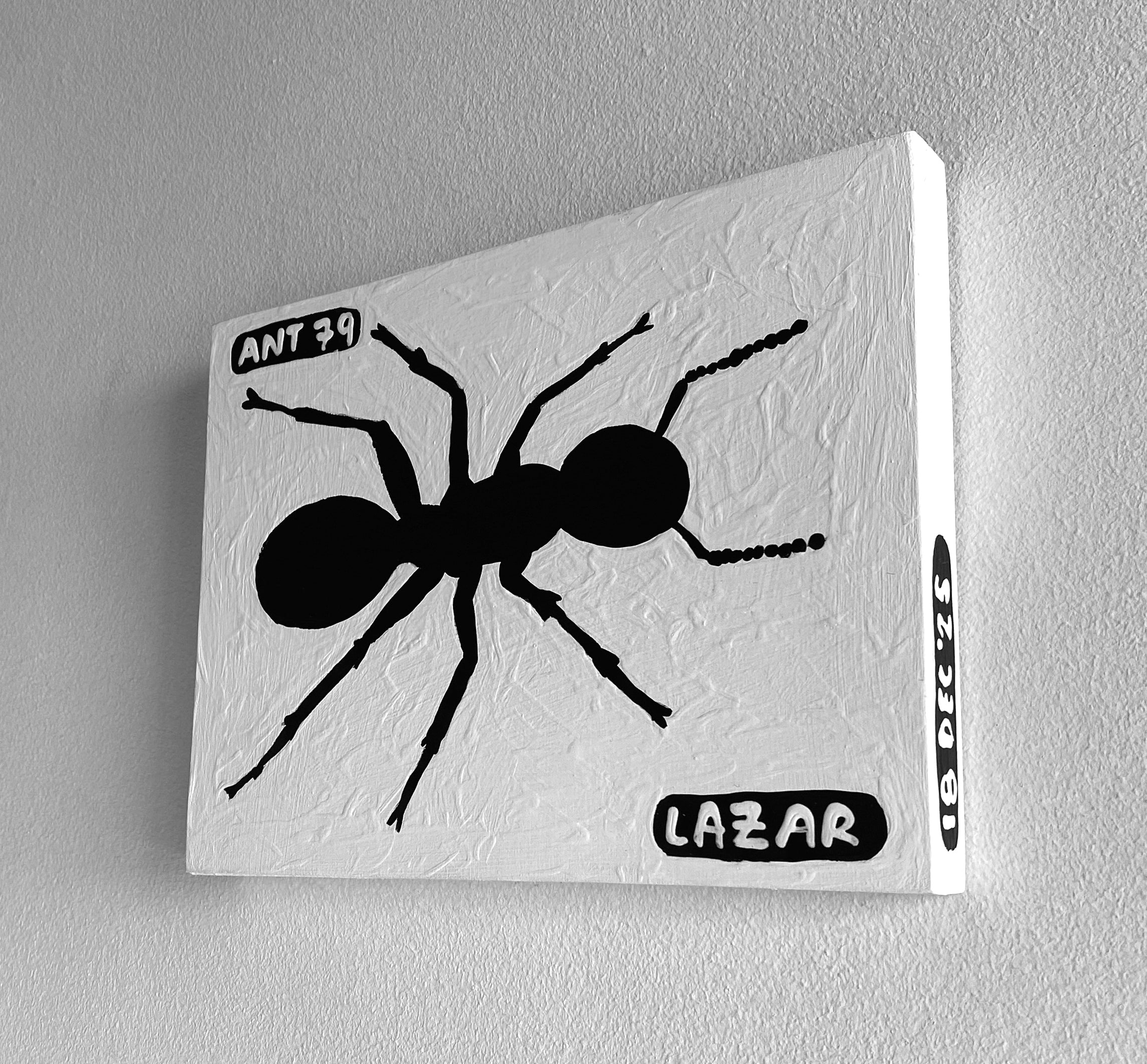 Ant #79