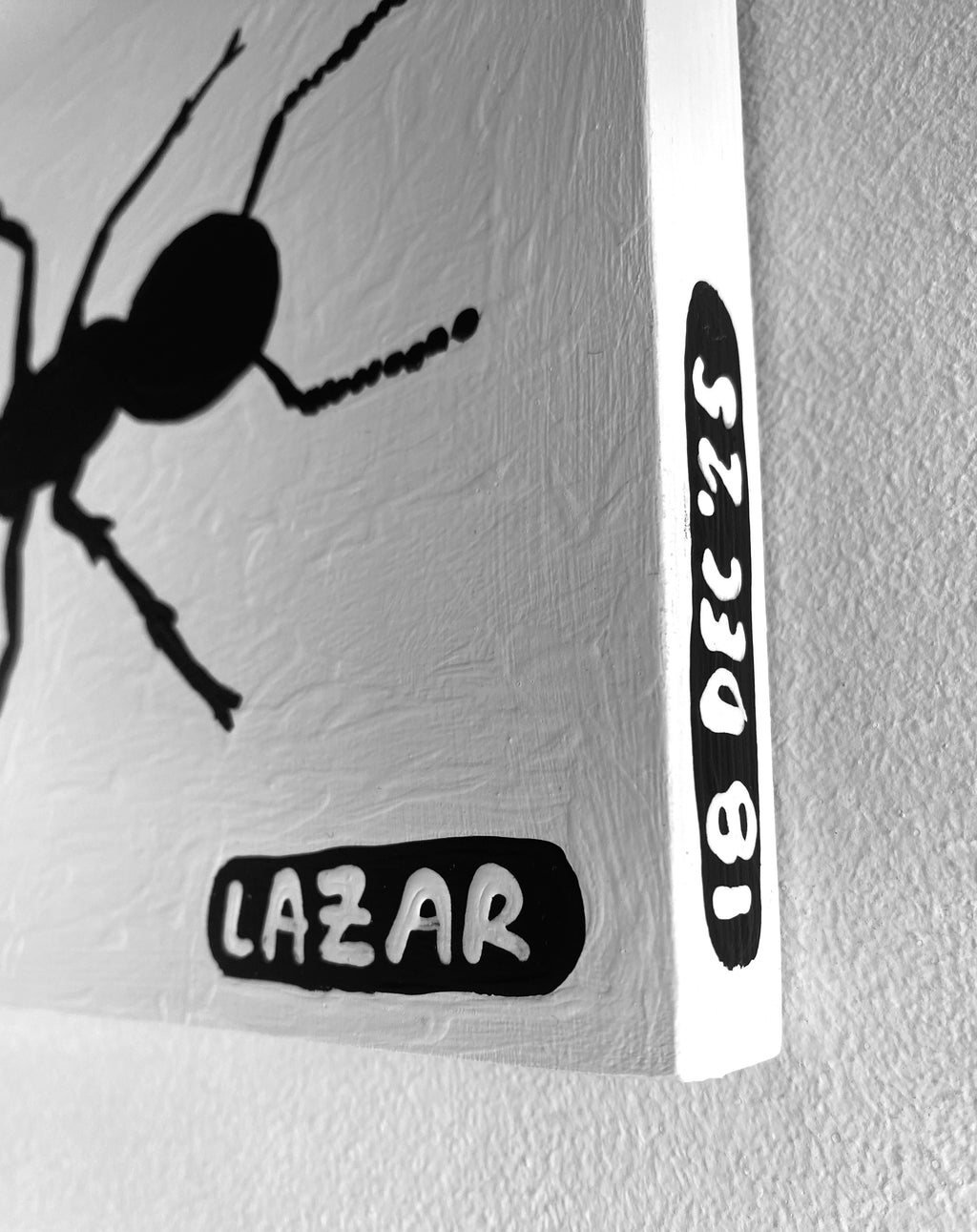 Ant #79