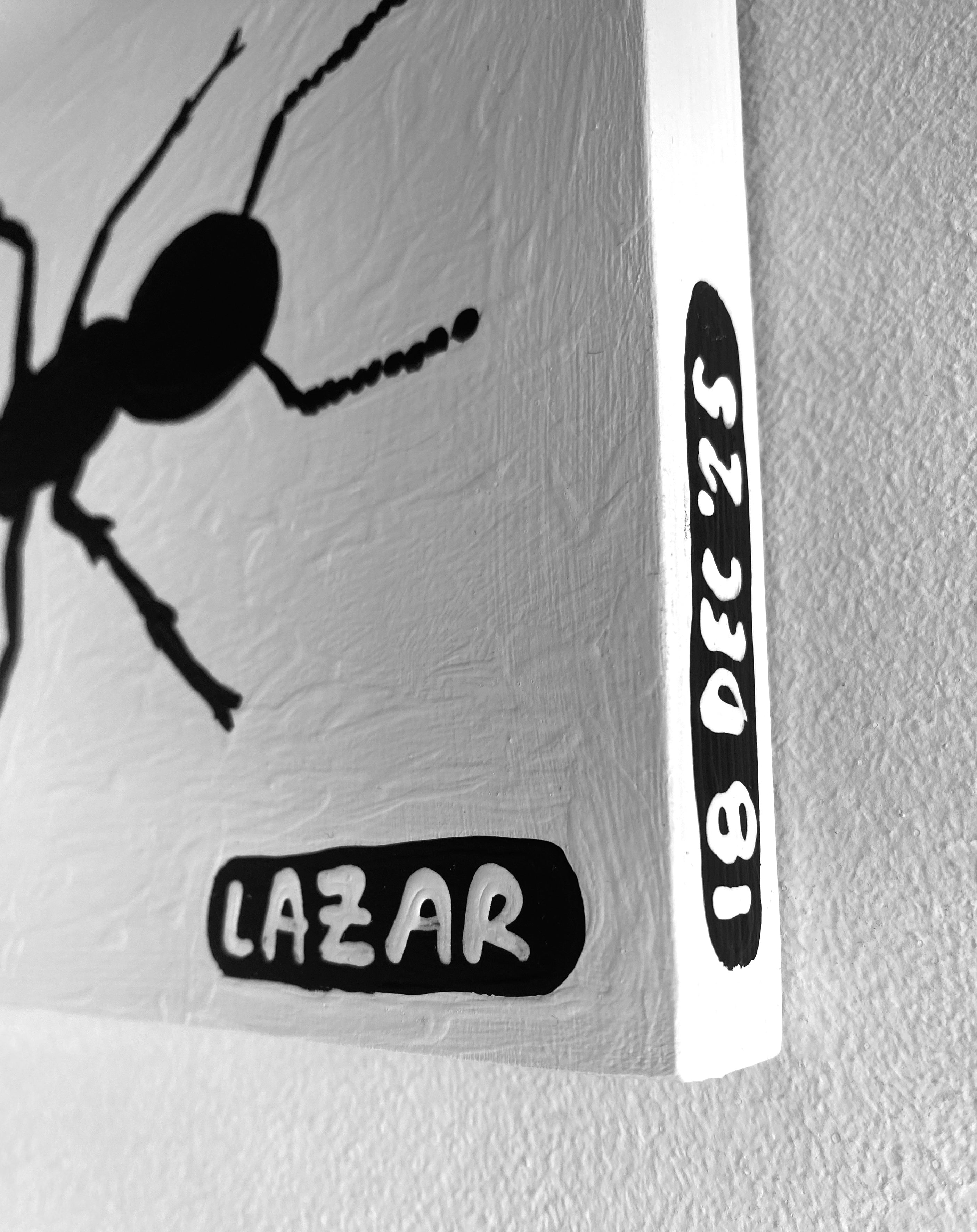 Ant #79