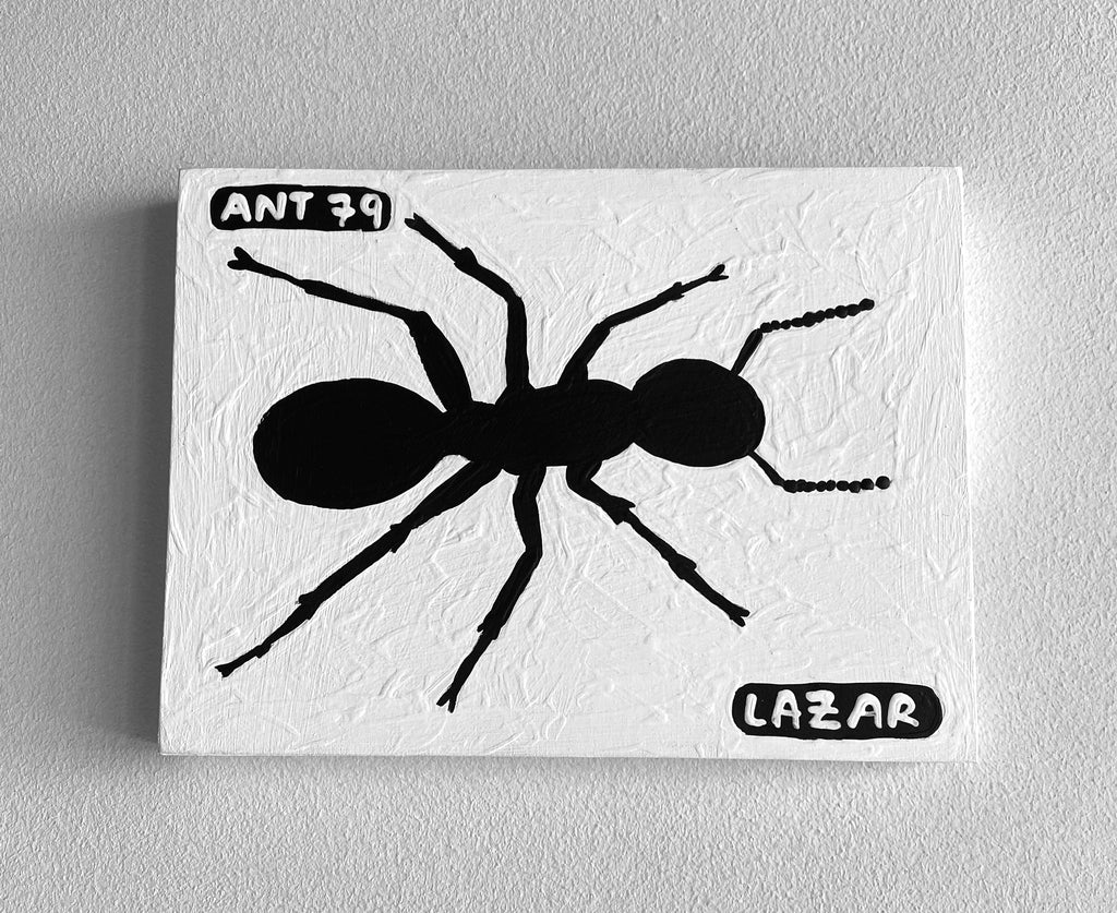 Ant #79