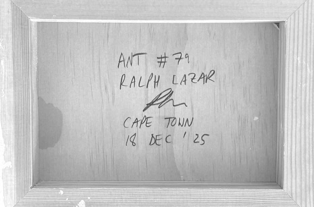 Ant #79